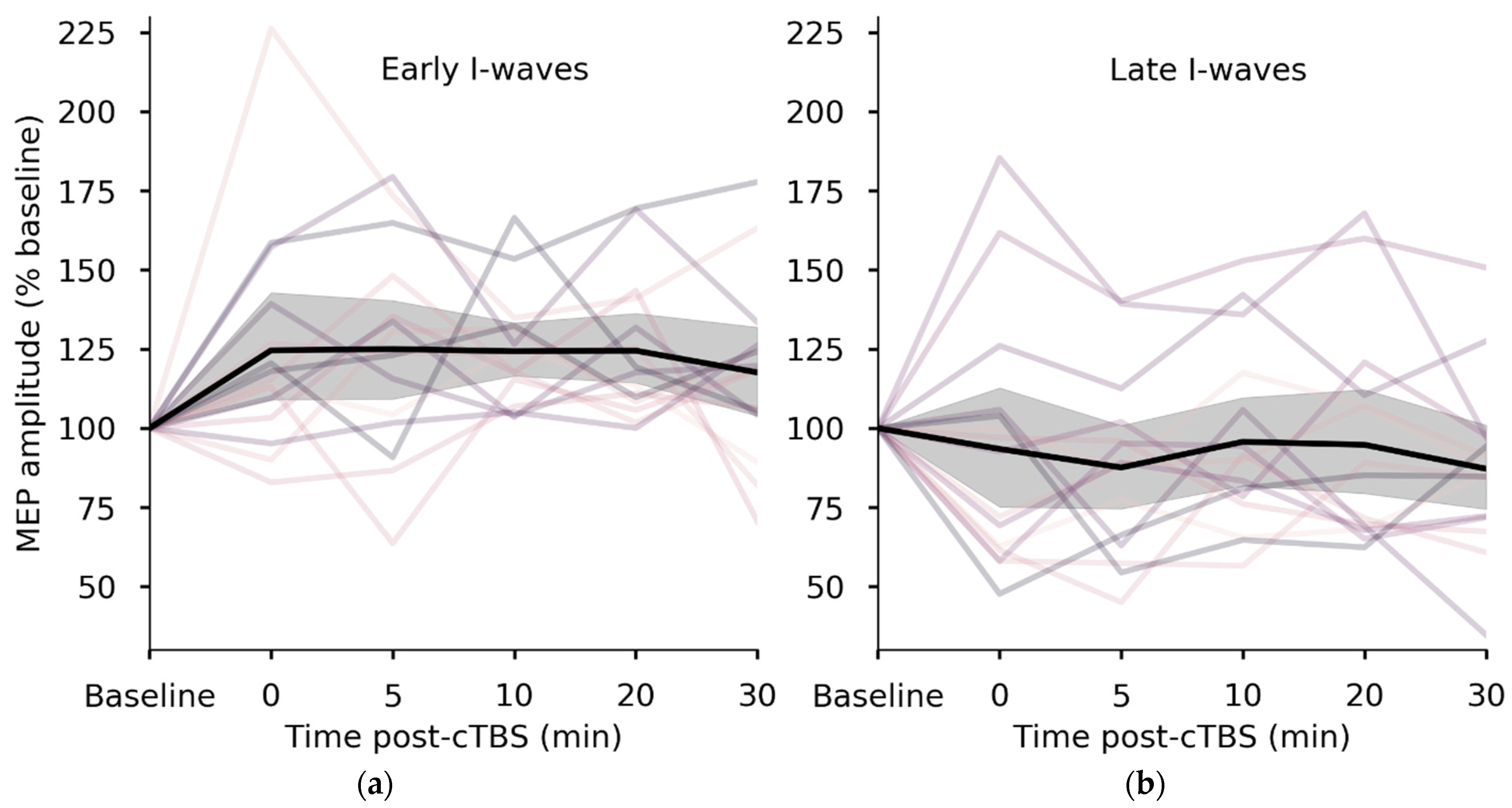 Brainsci 11 00388 g002
