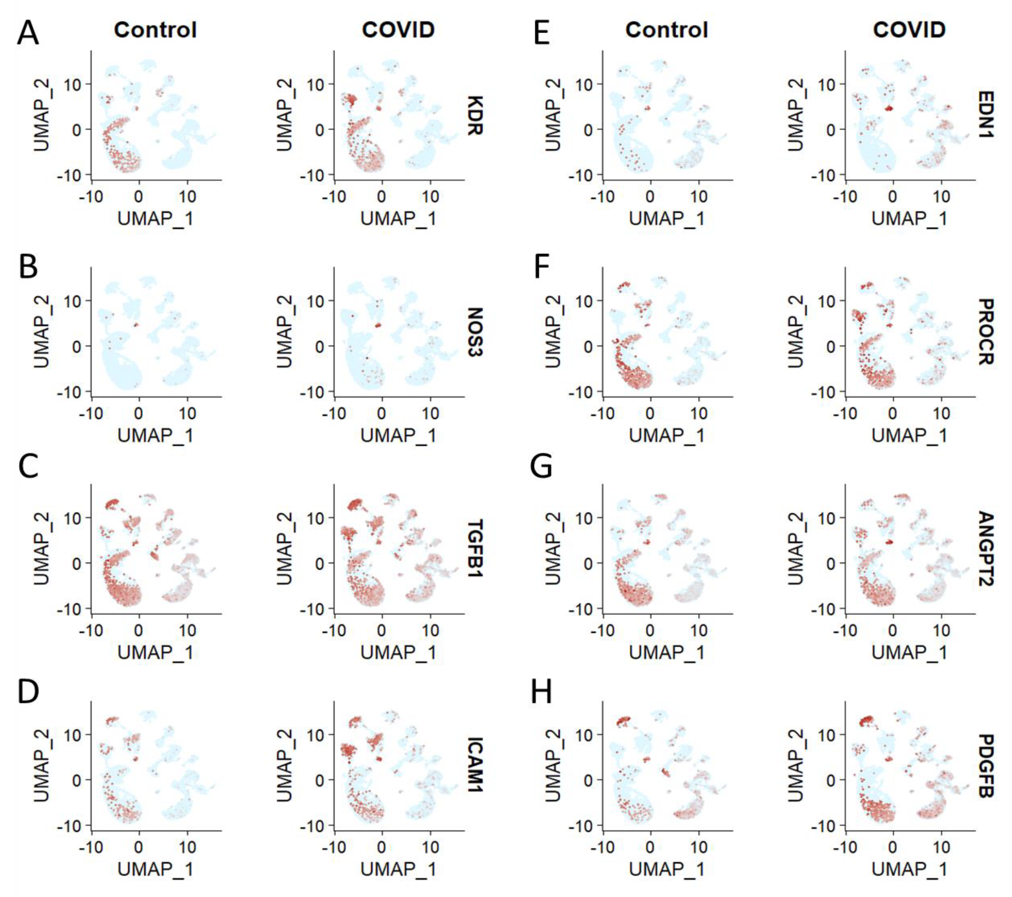 Brainsci 13 00762 g003