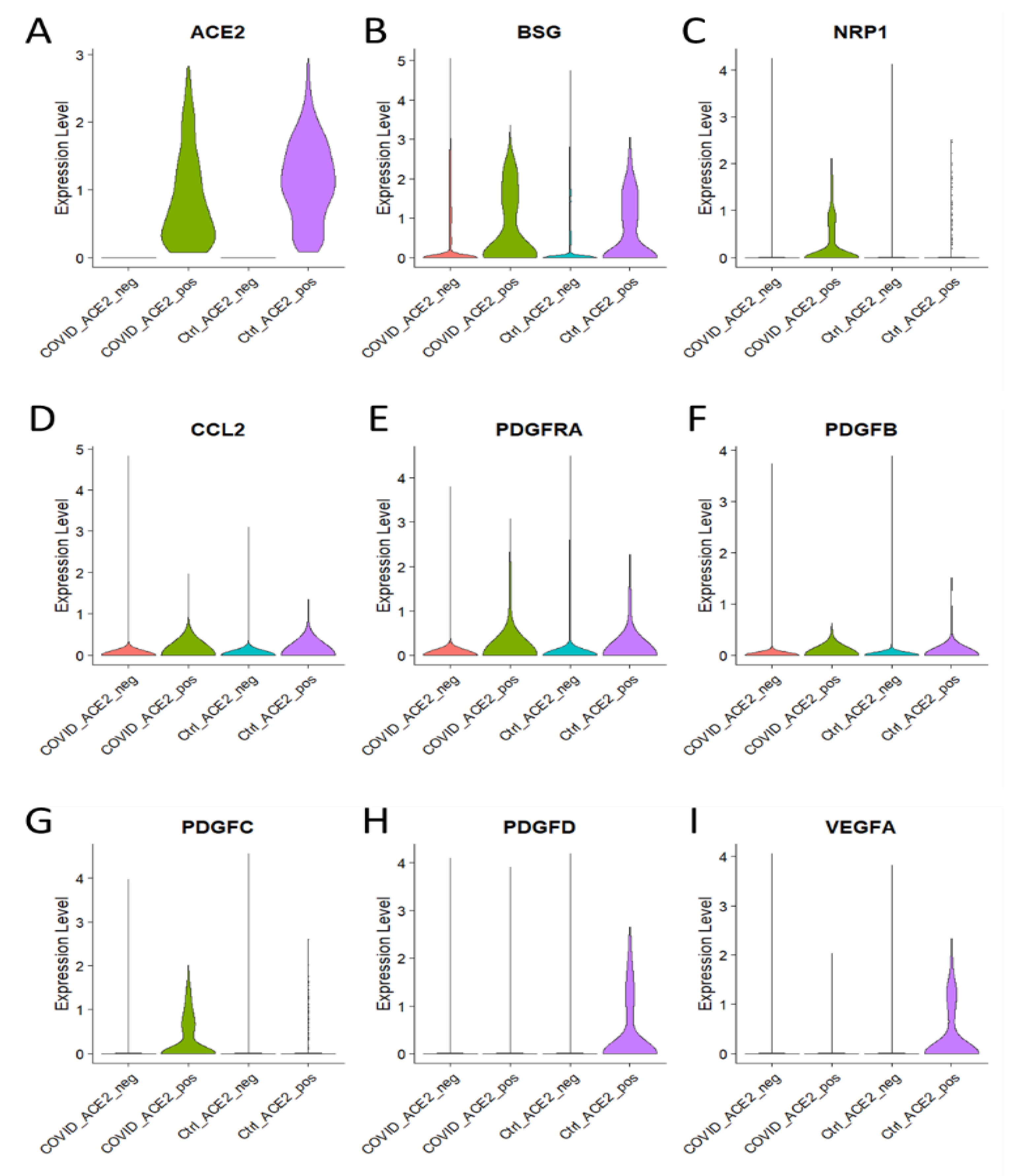 Brainsci 13 00762 g004