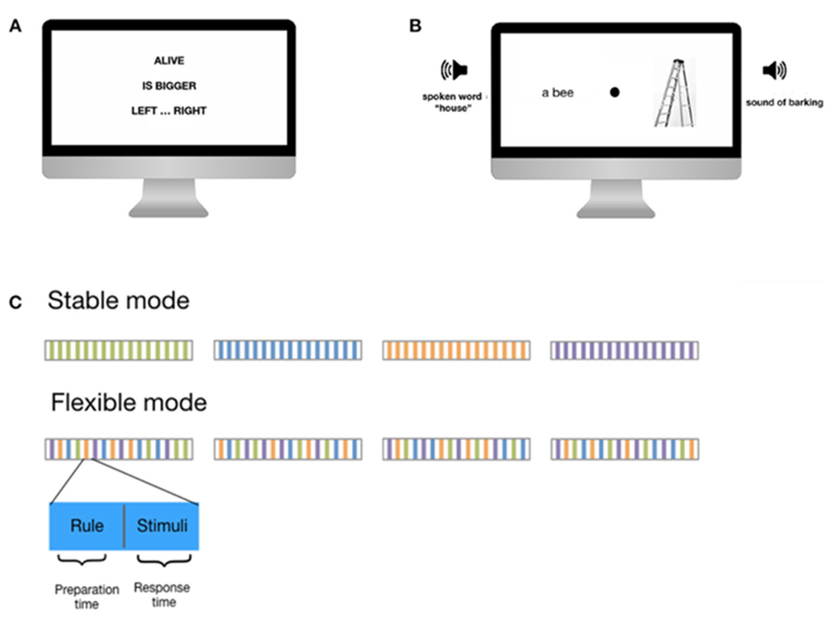 Brainsci 13 00961 g001