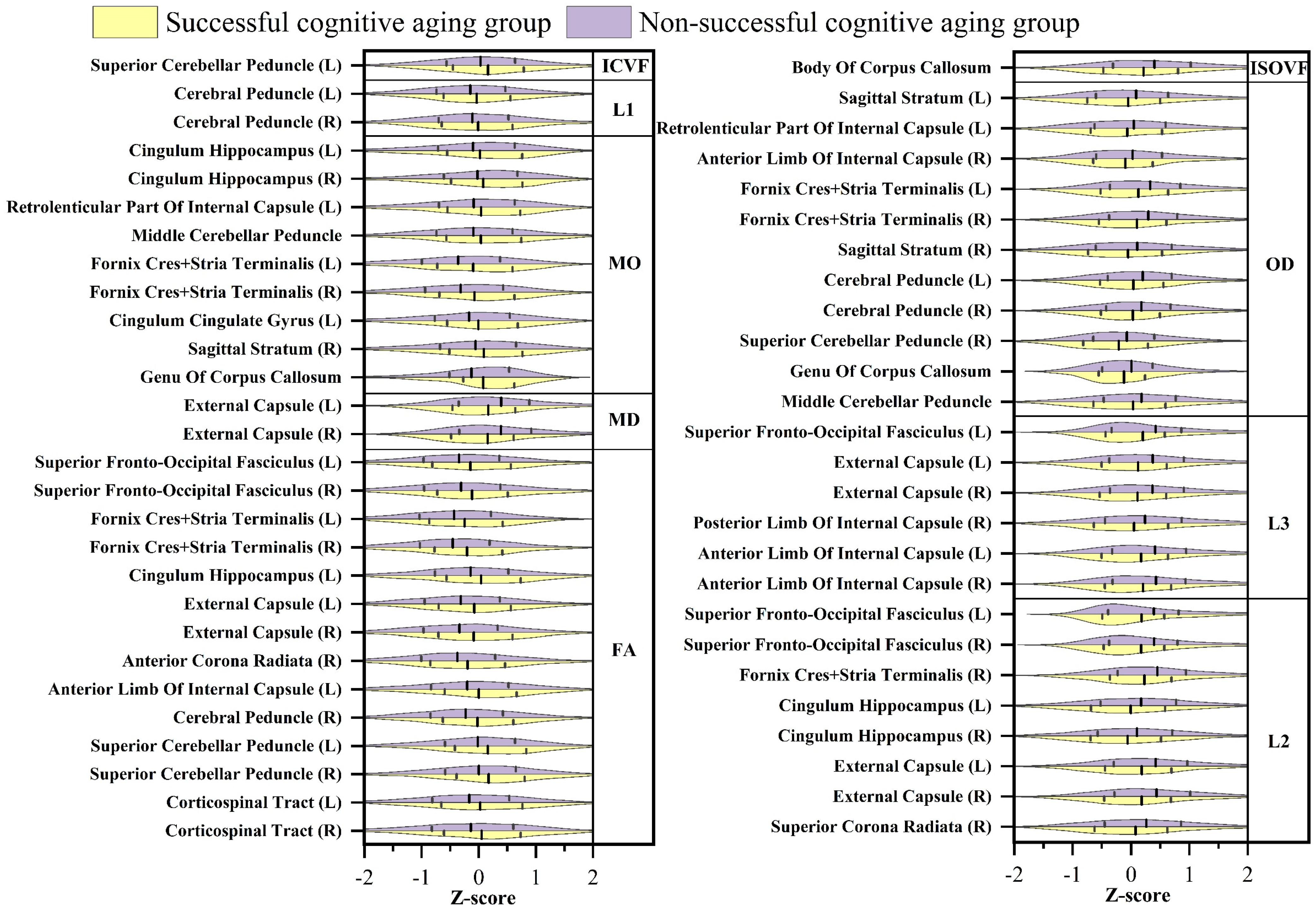 Brainsci 13 01651 g002