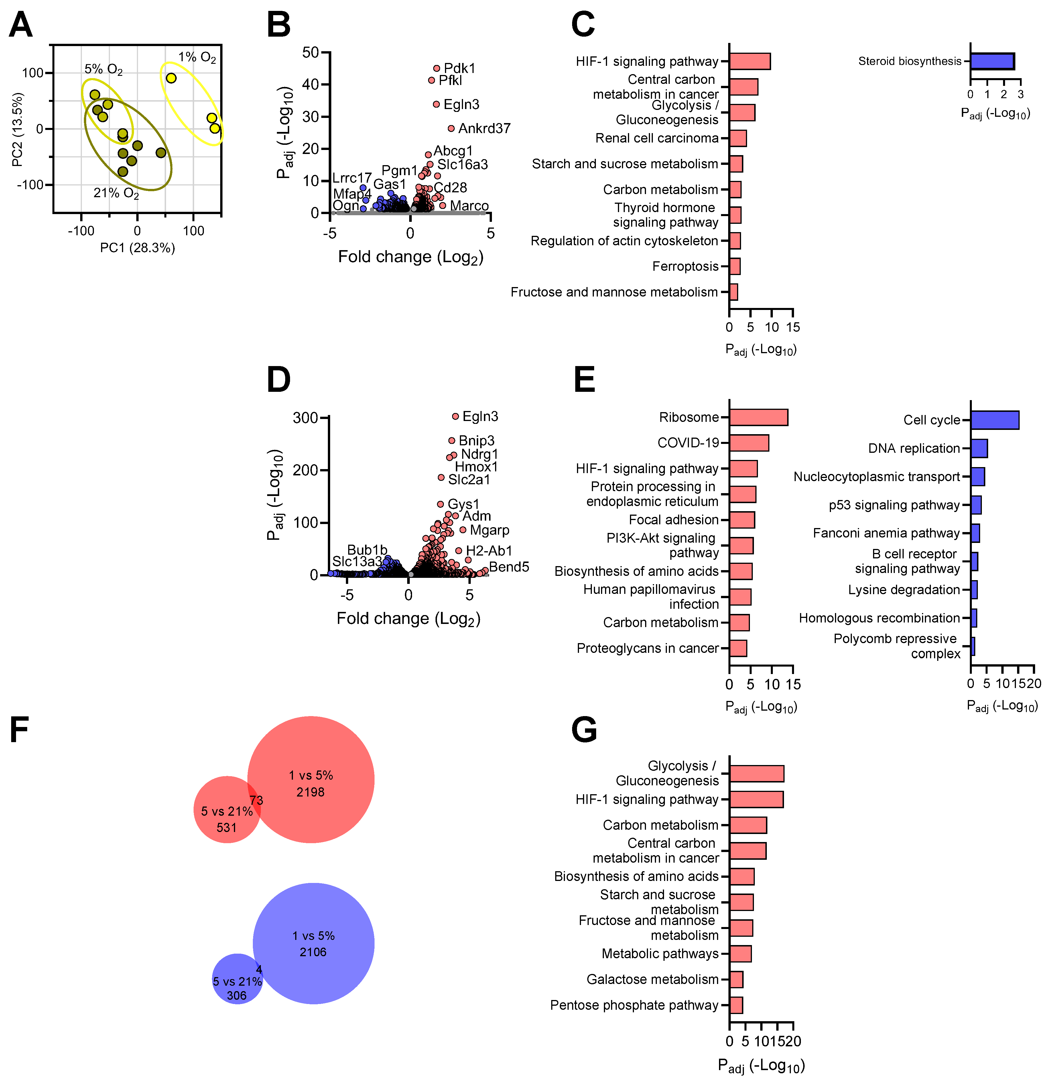 Brainsci 14 00341 g004
