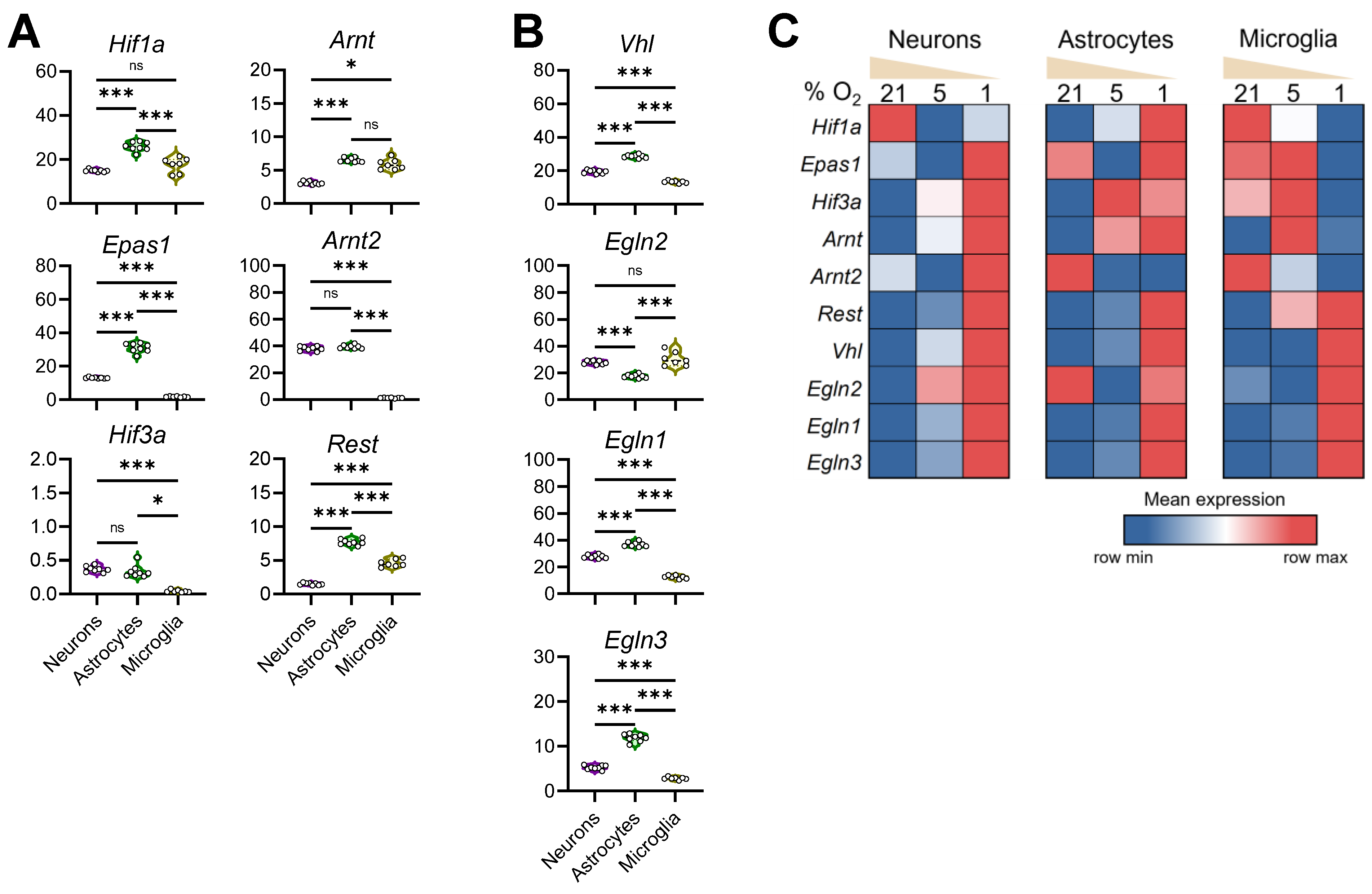 Brainsci 14 00341 g005