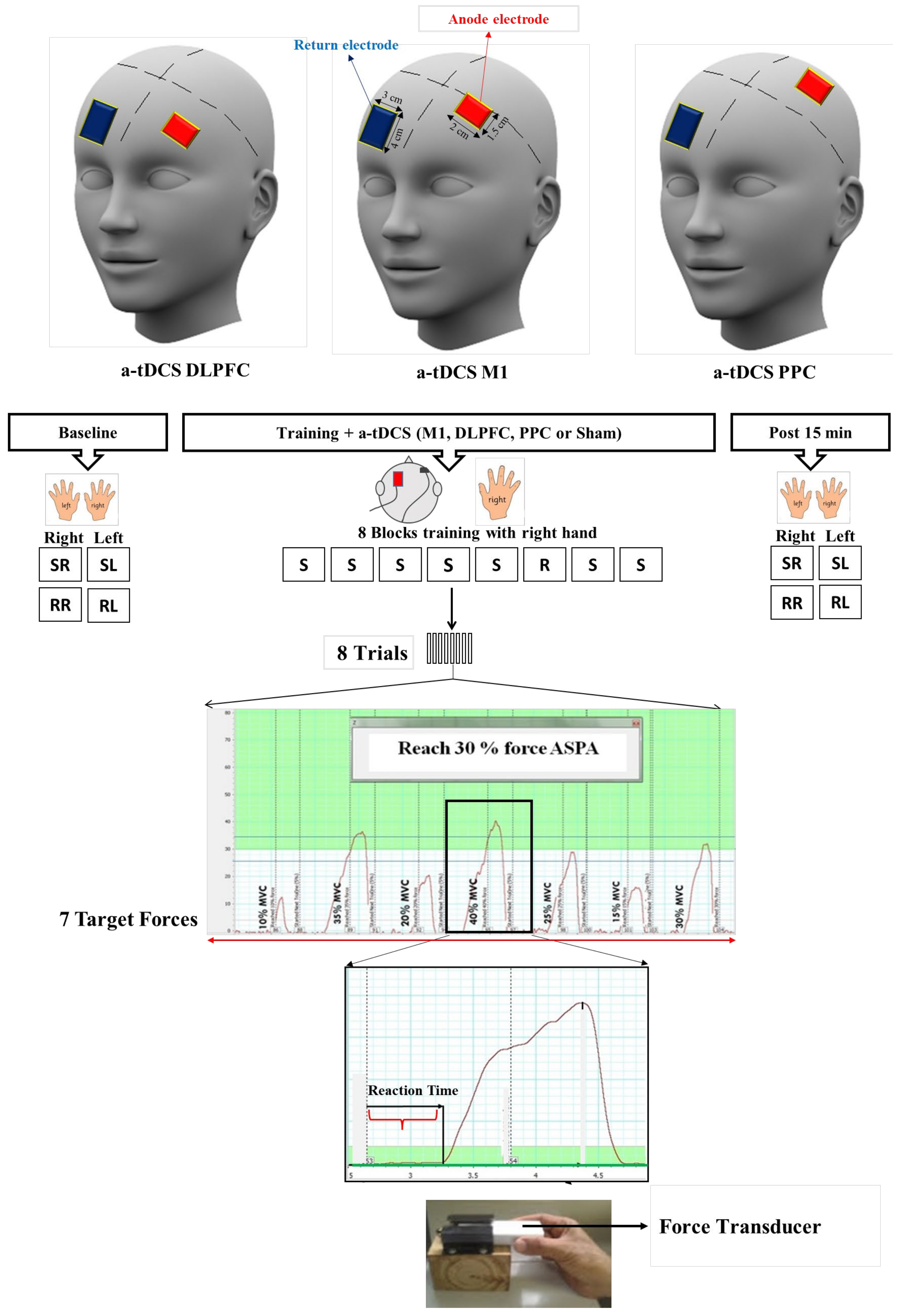 Brainsci 14 00408 g002