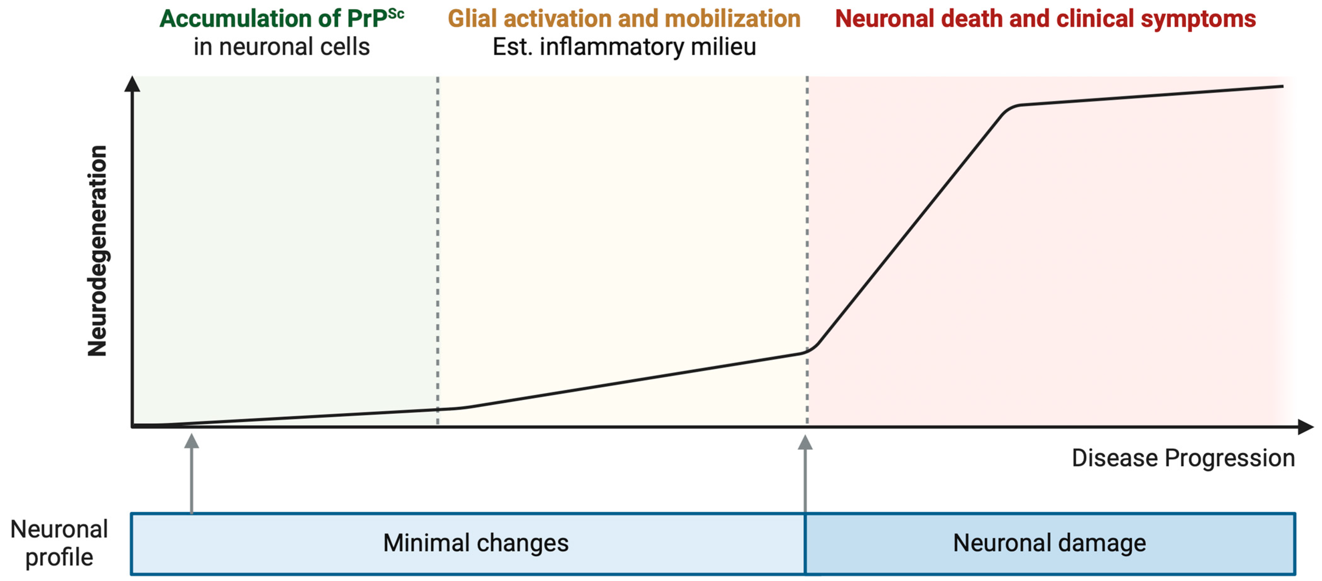 Brainsci 14 00413 g001