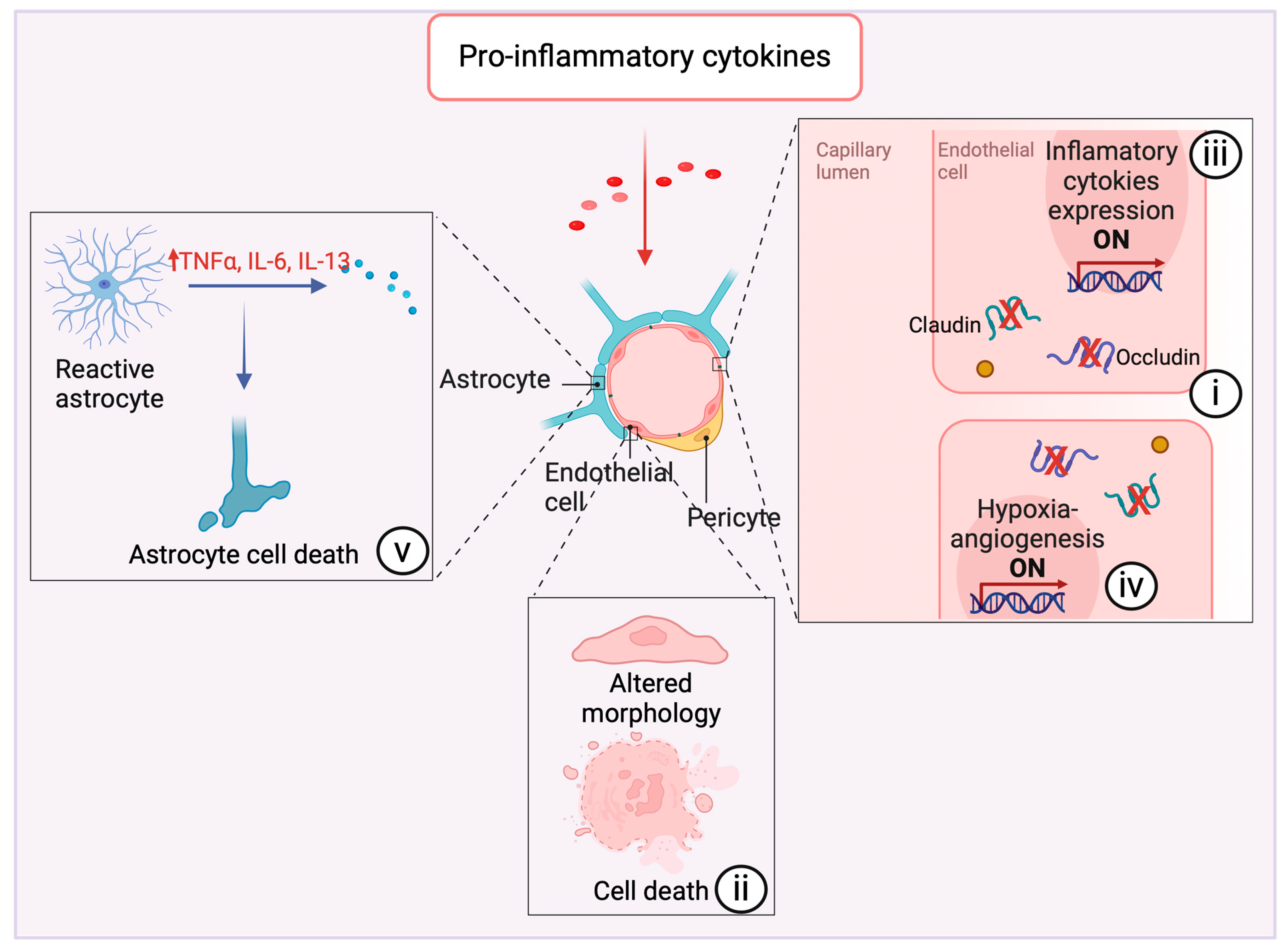 Brainsci 14 00413 g004