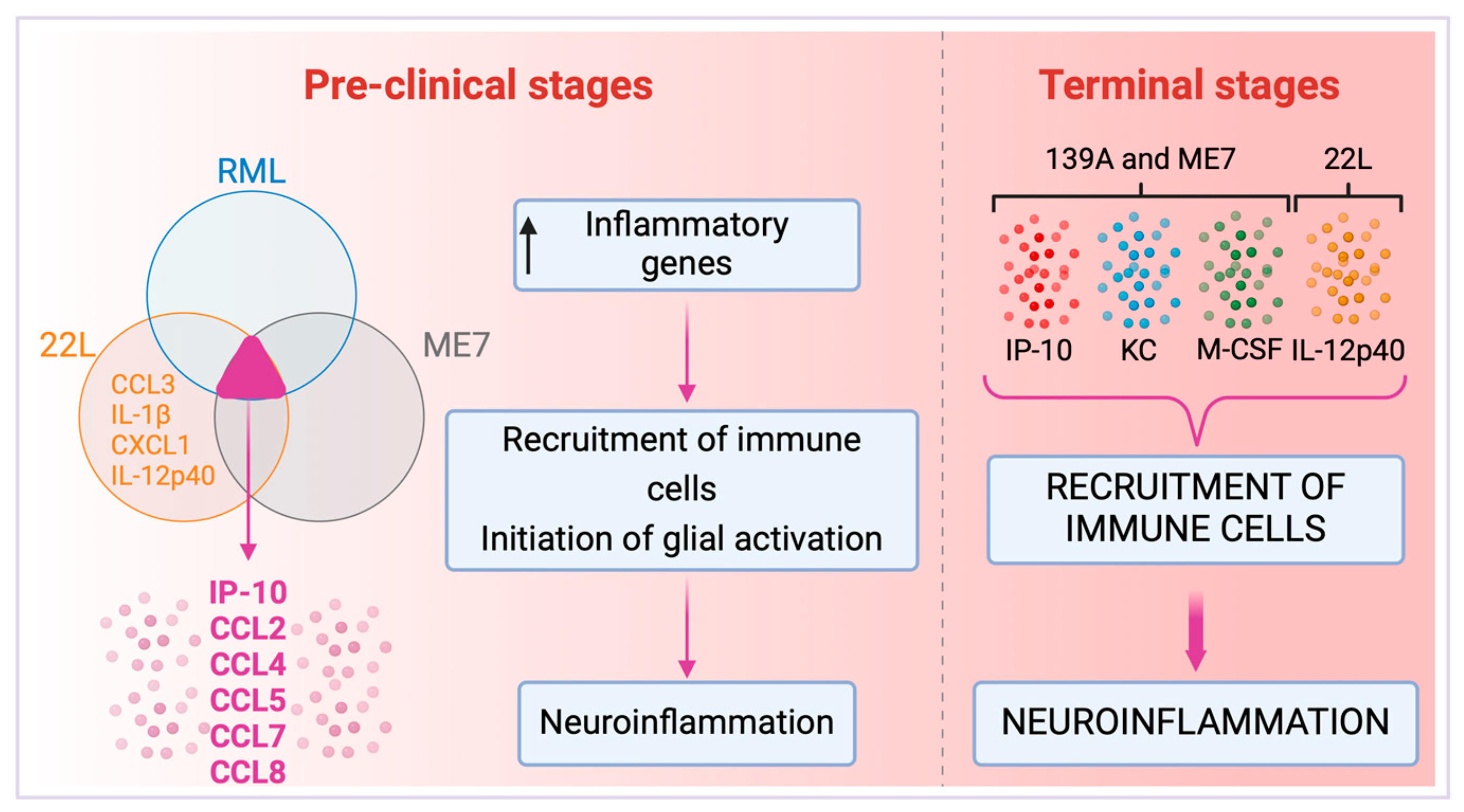 Brainsci 14 00413 g005