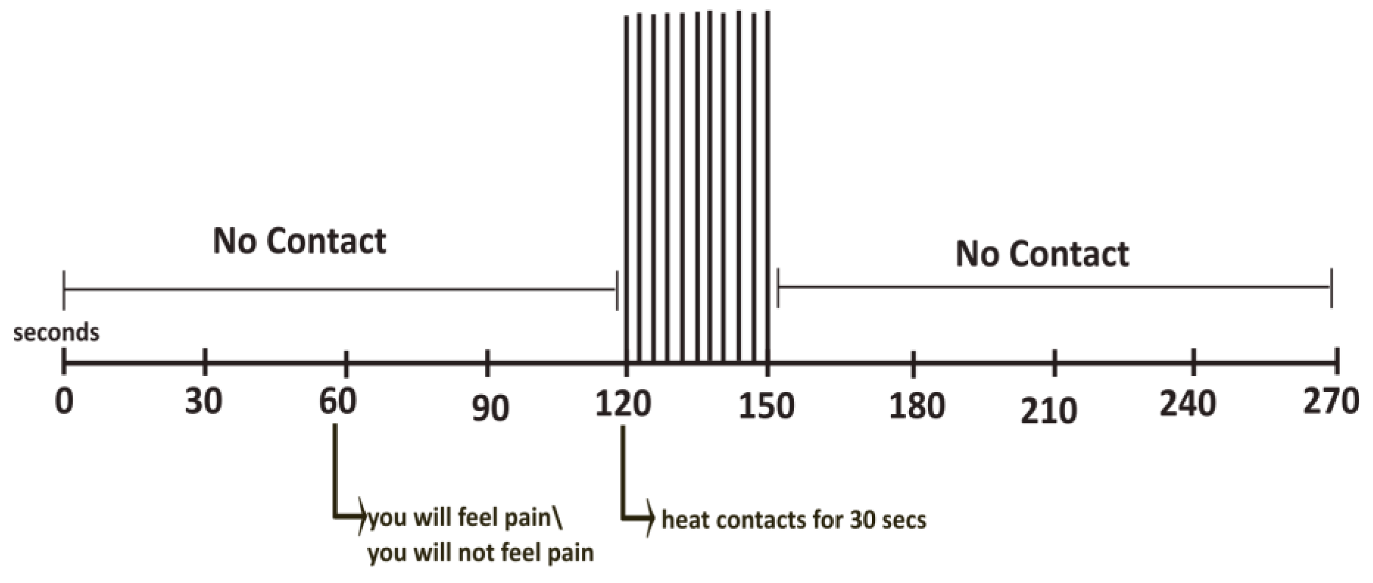 Brainsci 14 00450 g001