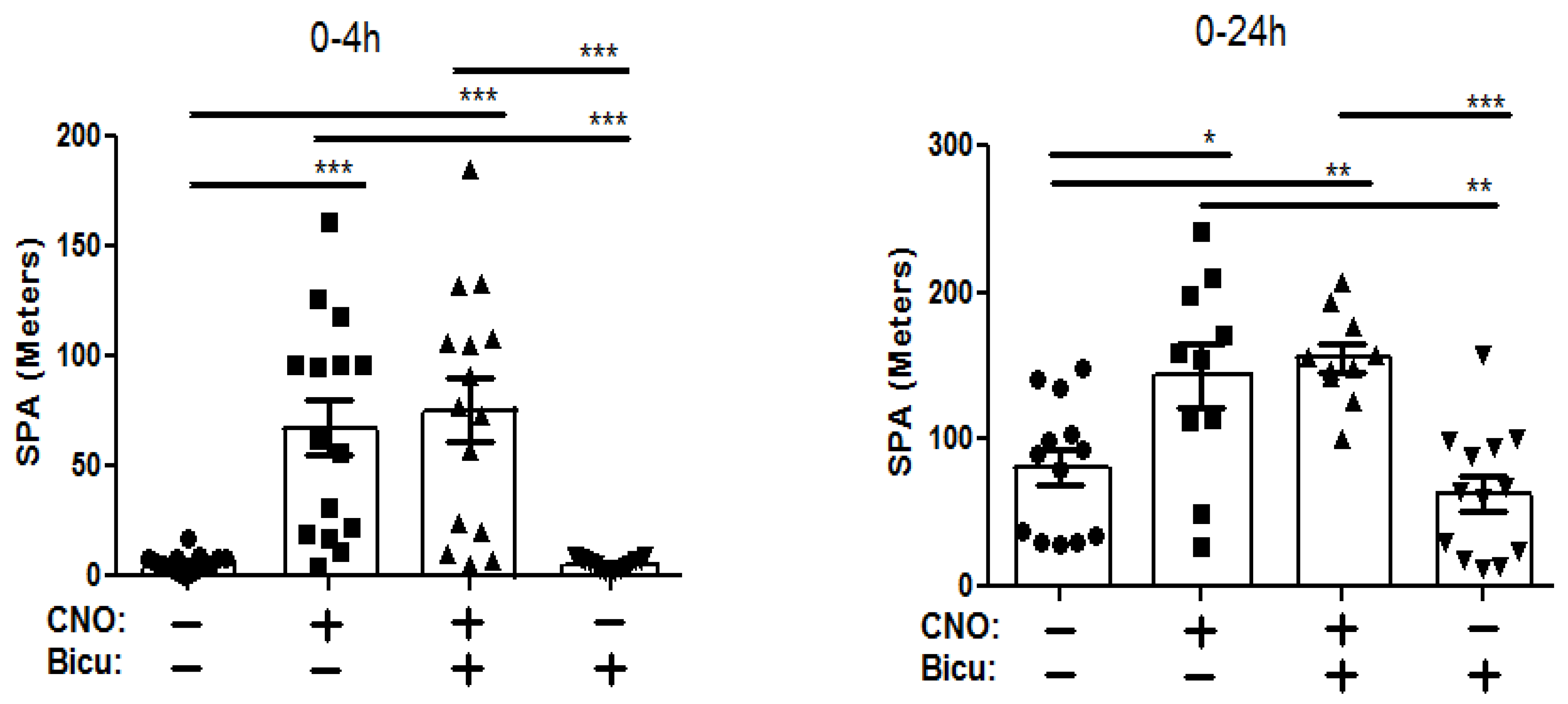 Brainsci 14 00464 g004
