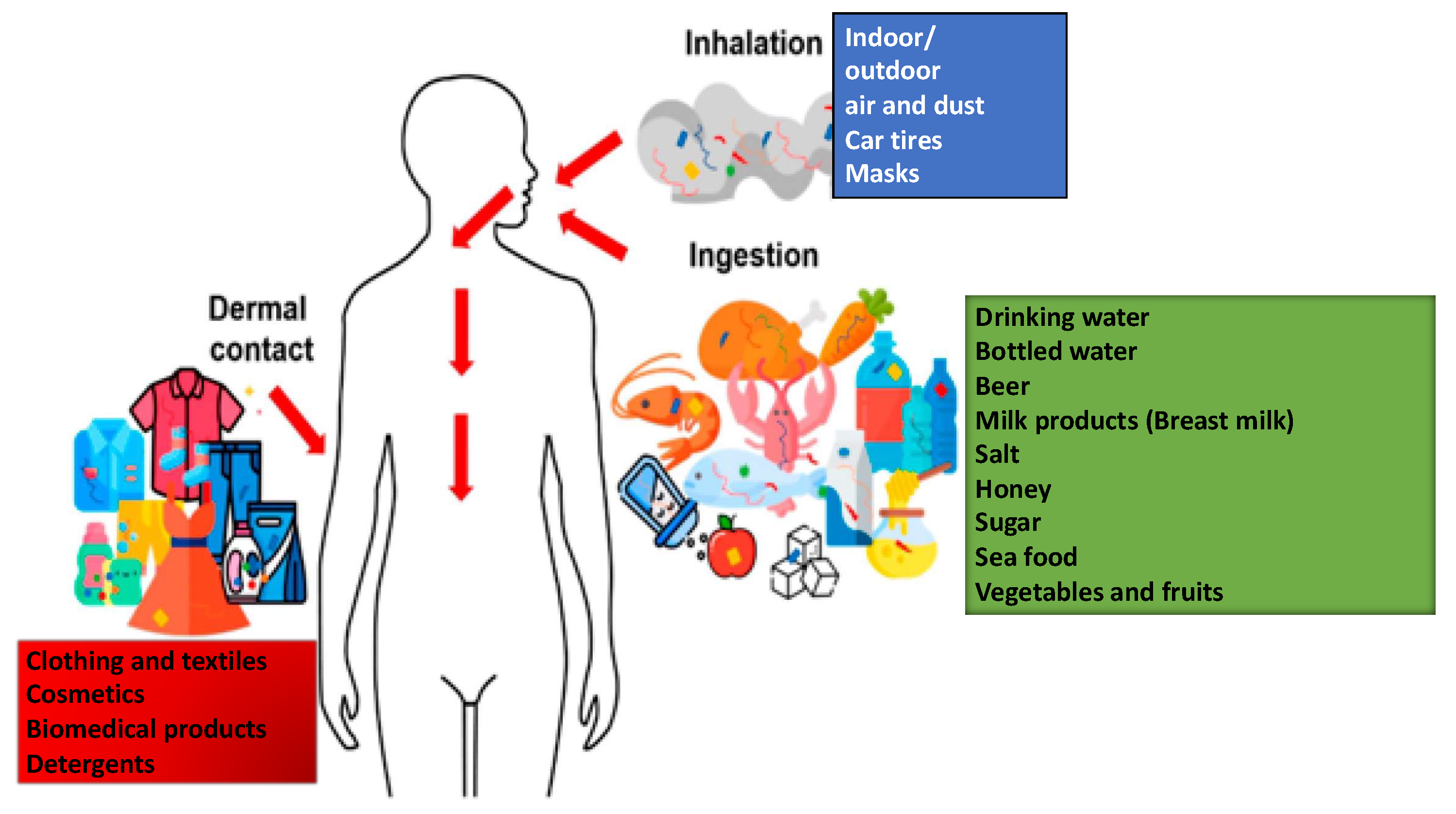 Brainsci 14 00471 g001