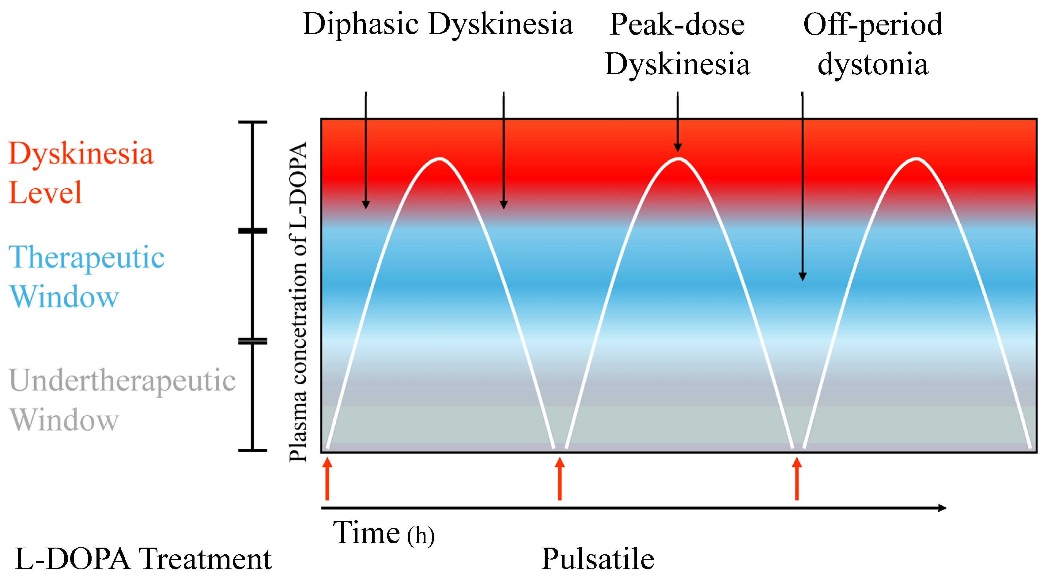 Brainsci 14 00514 g001
