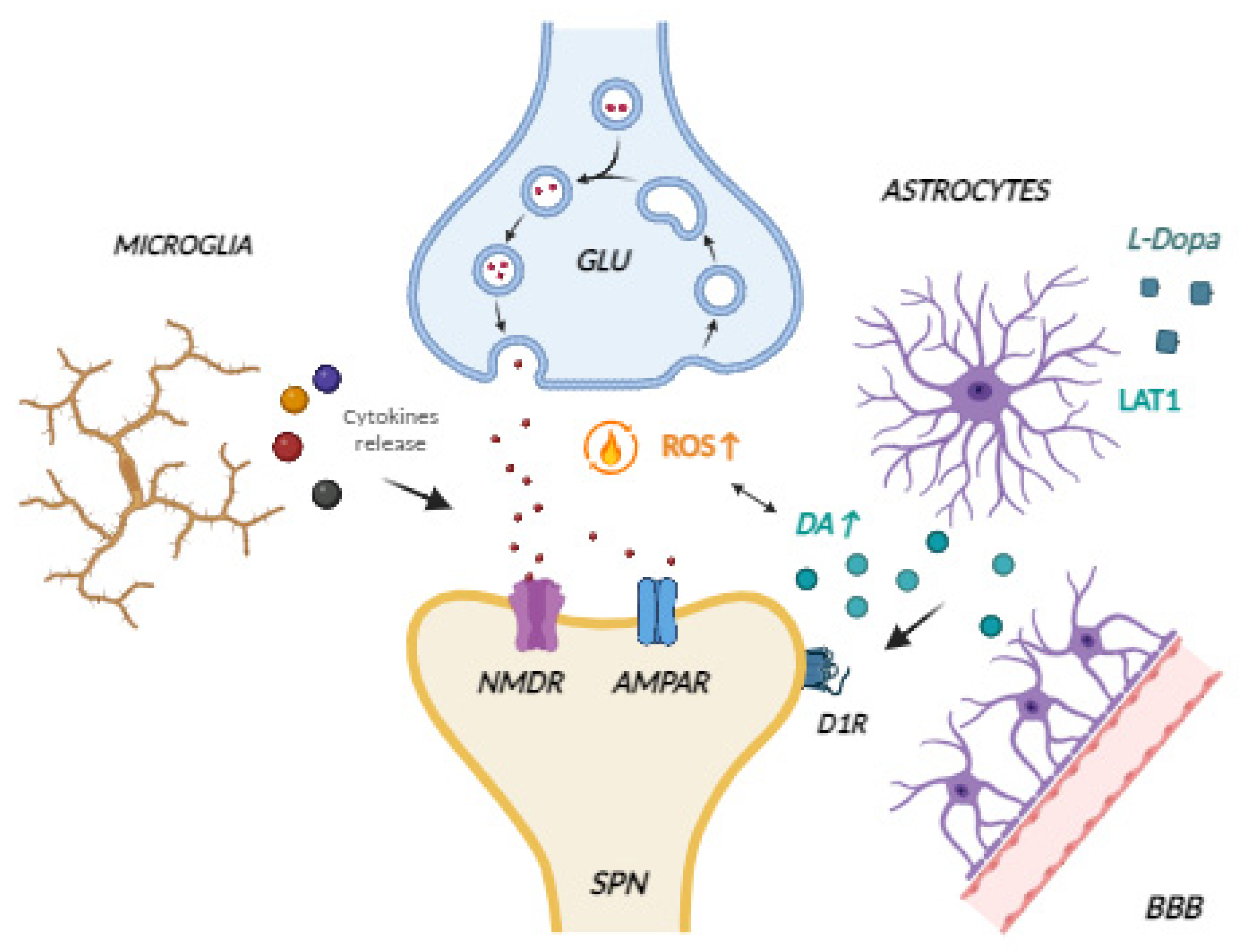 Brainsci 14 00514 g002