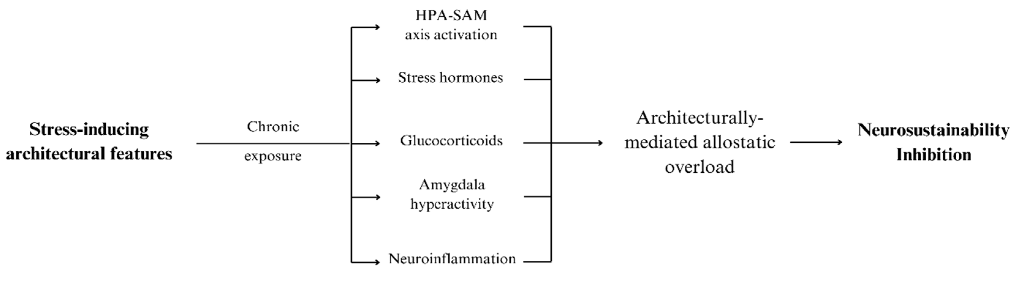 Brainsci 15 00201 g002