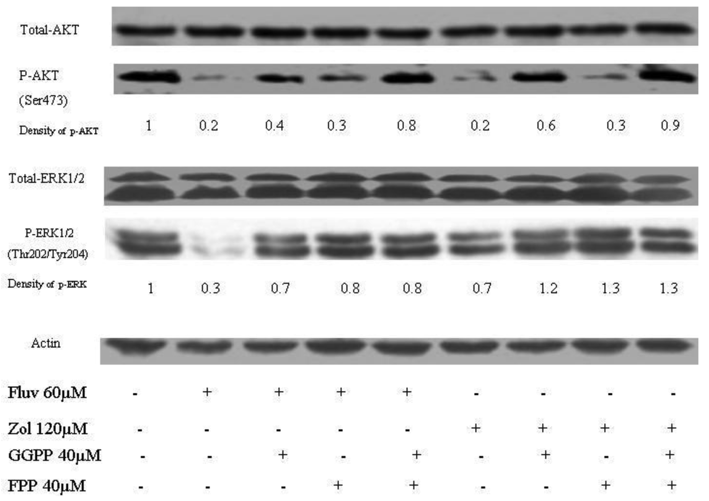 Cancers 03 00662f5 1024