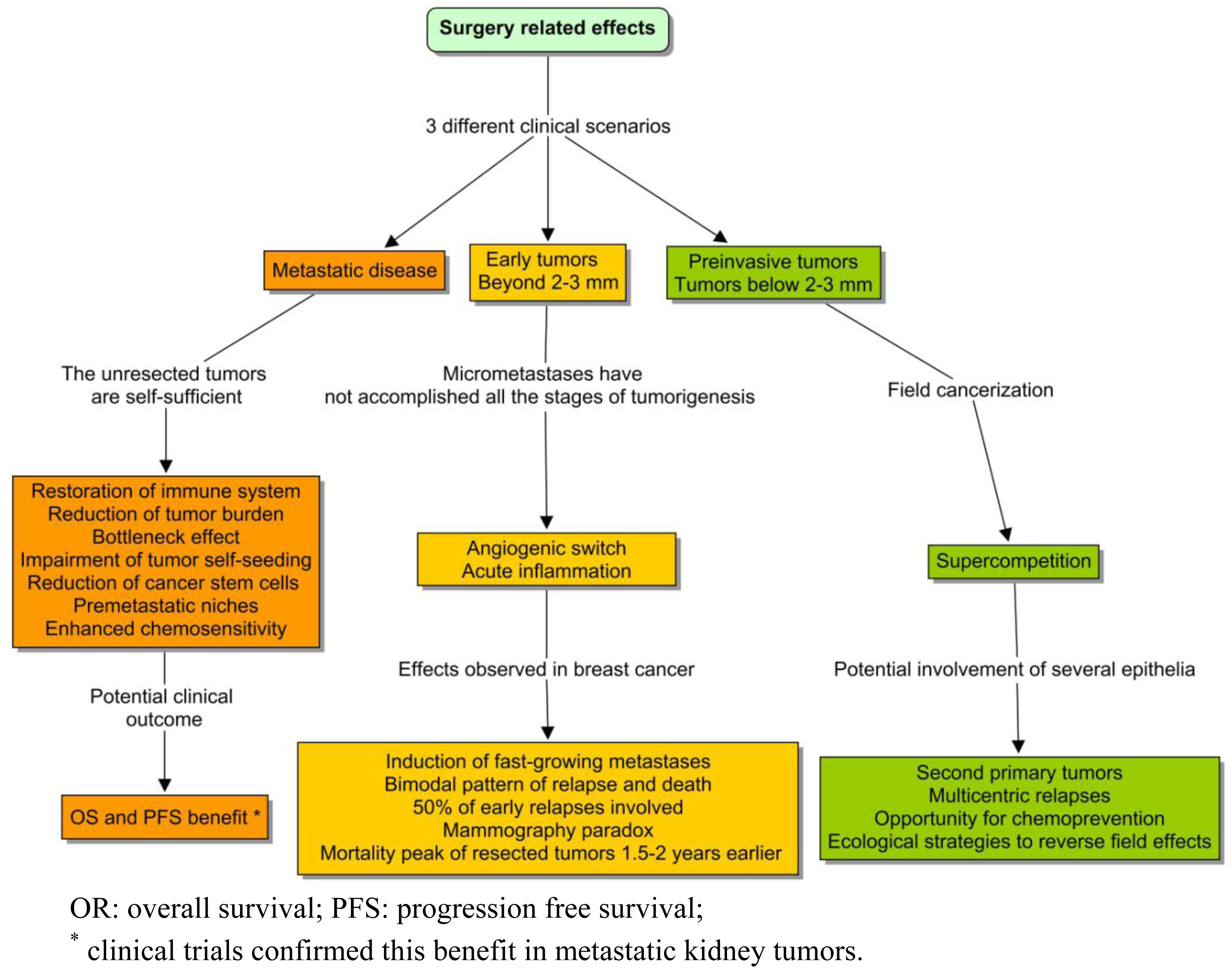 Cancers 03 00945f1 1024