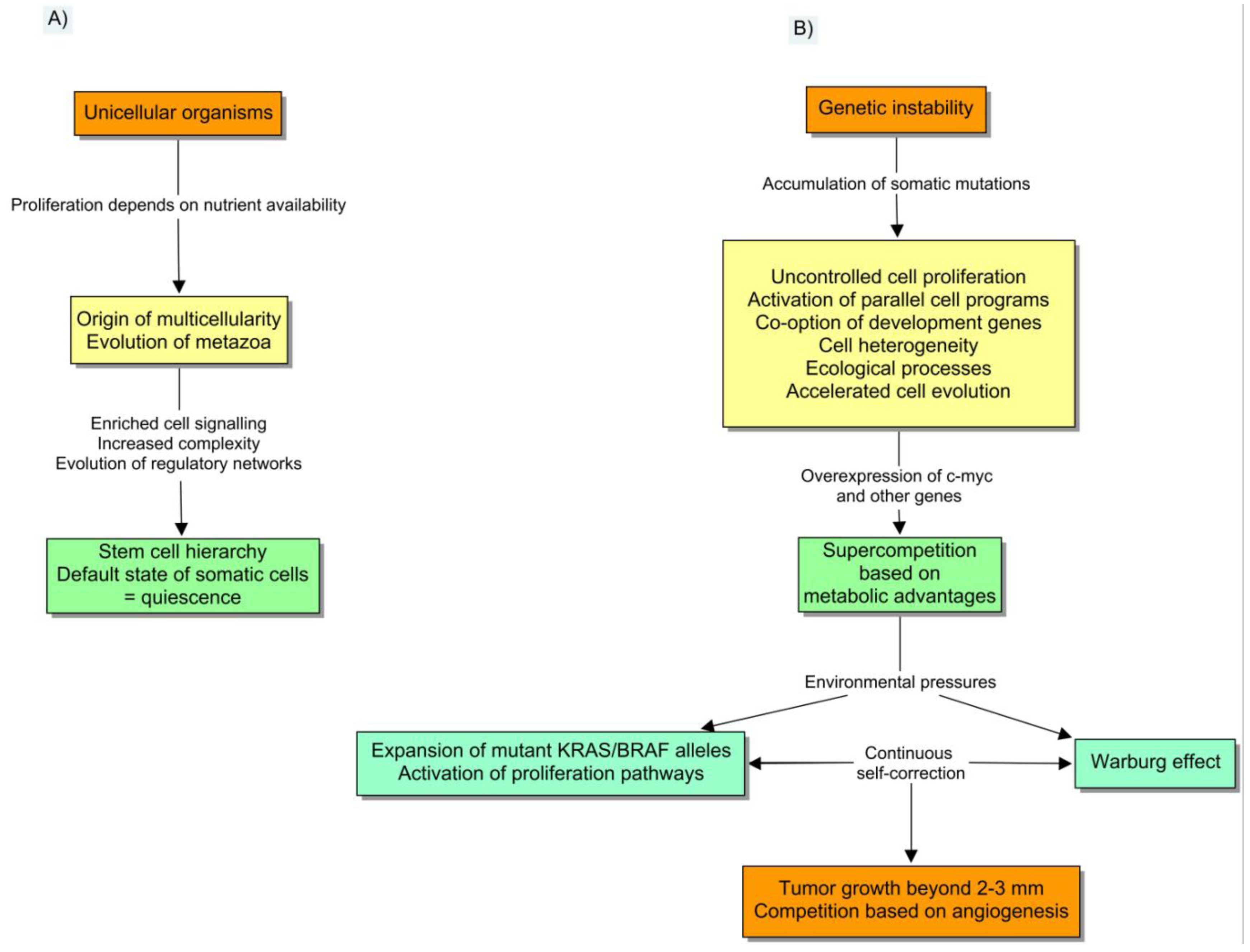 Cancers 03 00945f2 1024
