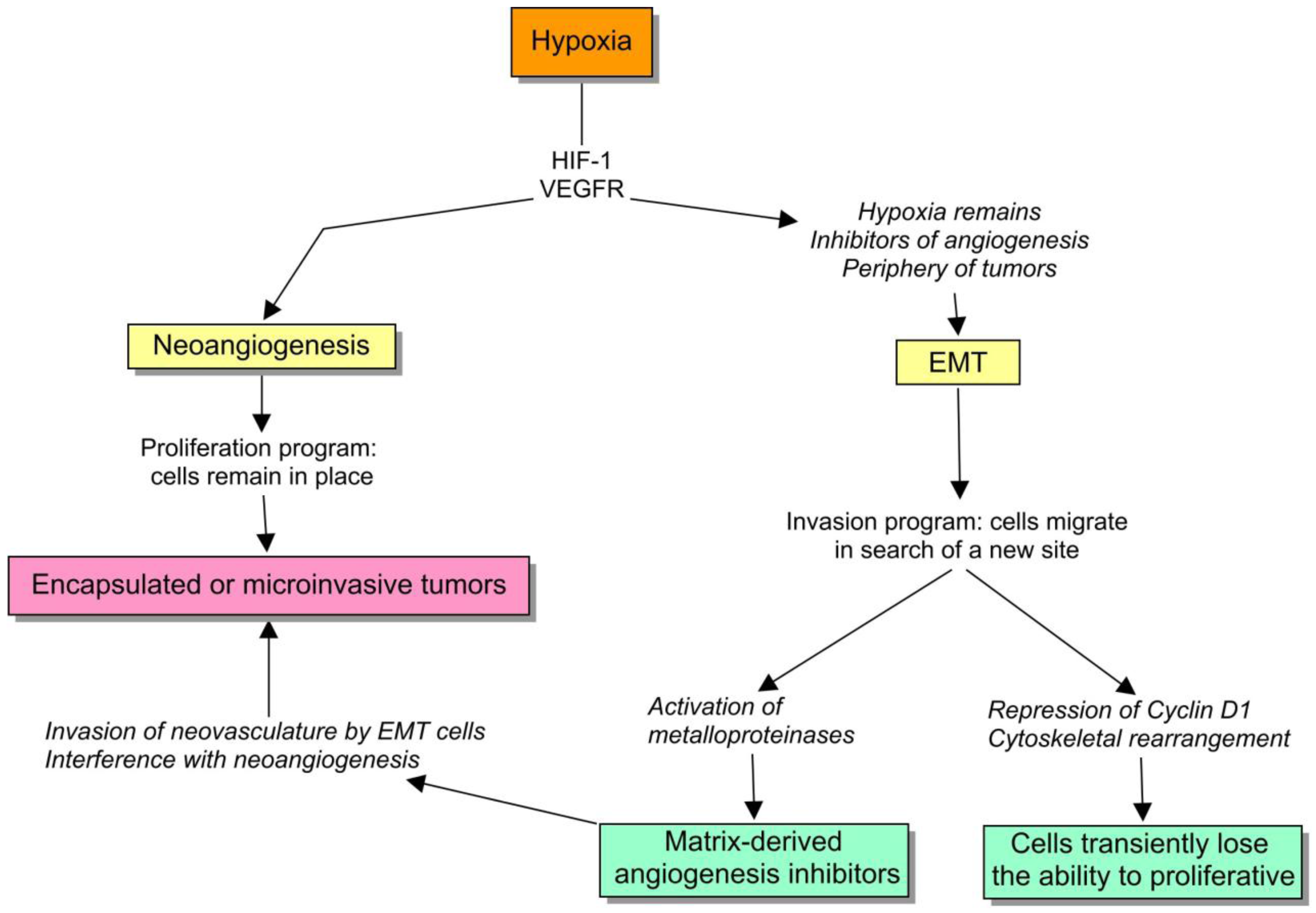Cancers 03 00945f3 1024