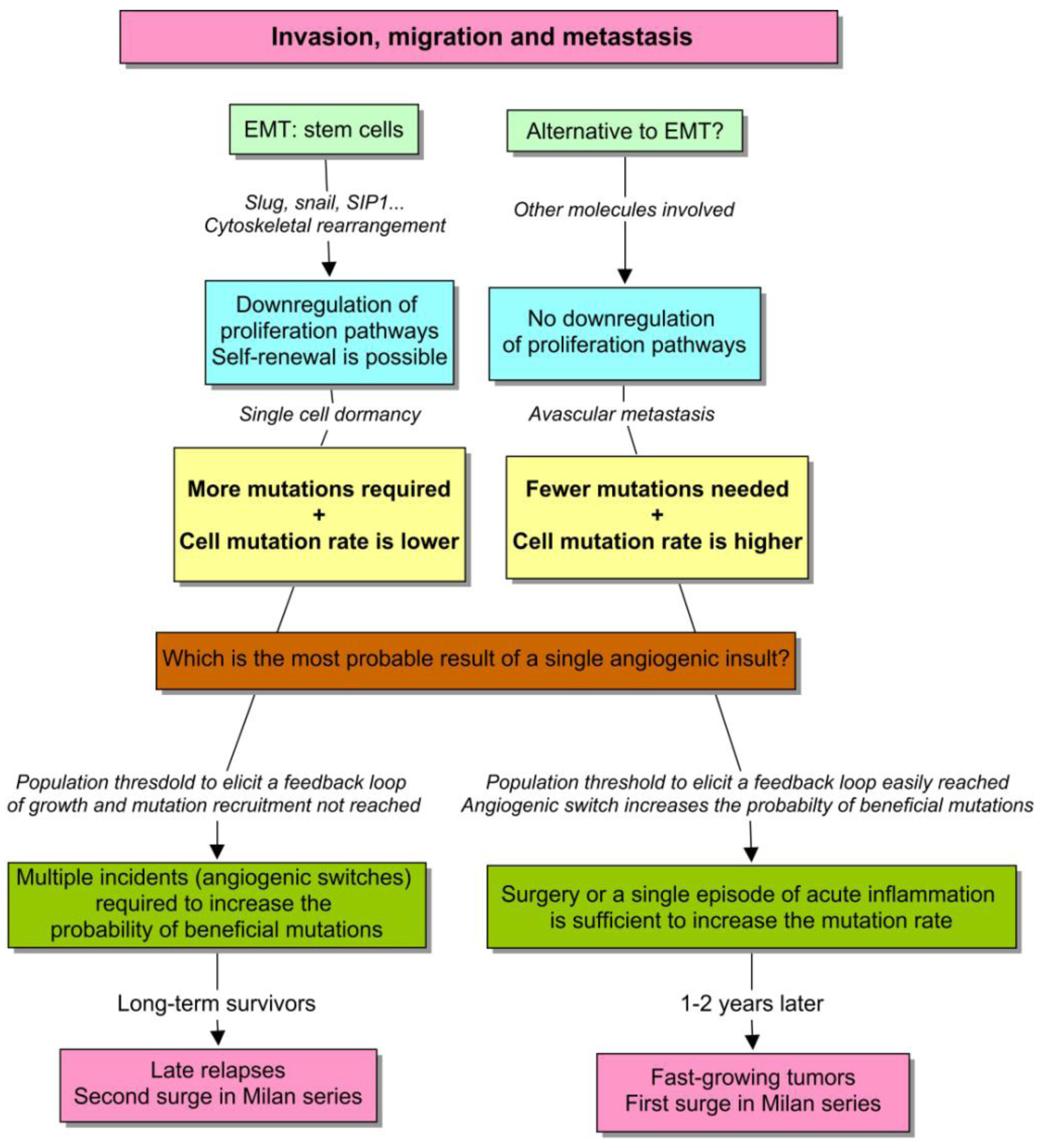 Cancers 03 00945f5 1024