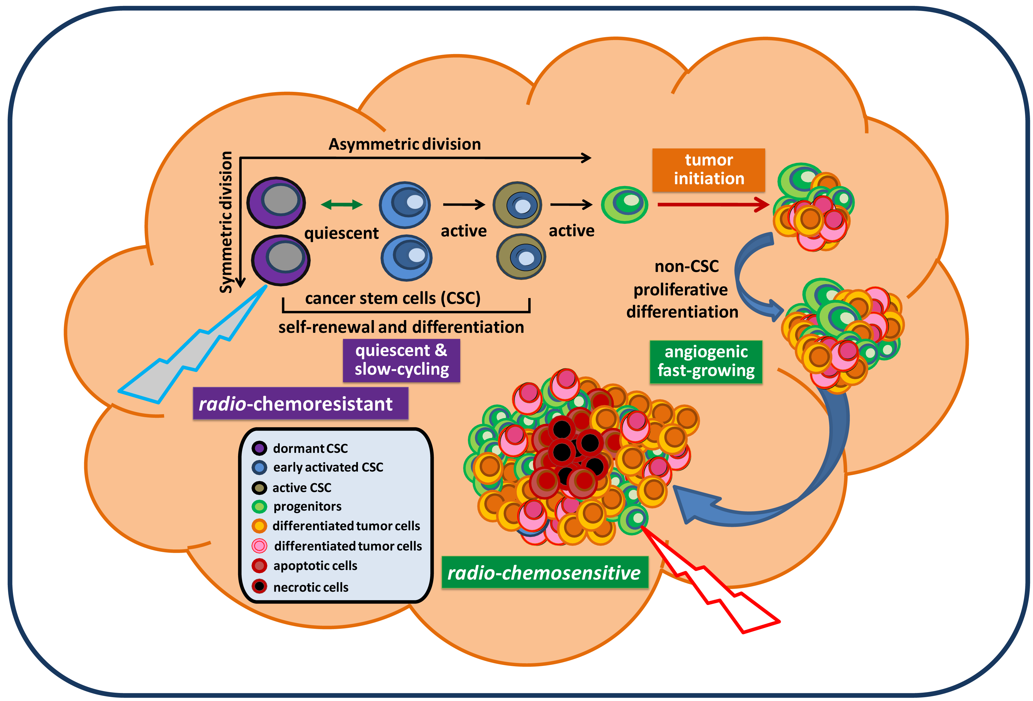 Cancers 03 01975f1 1024
