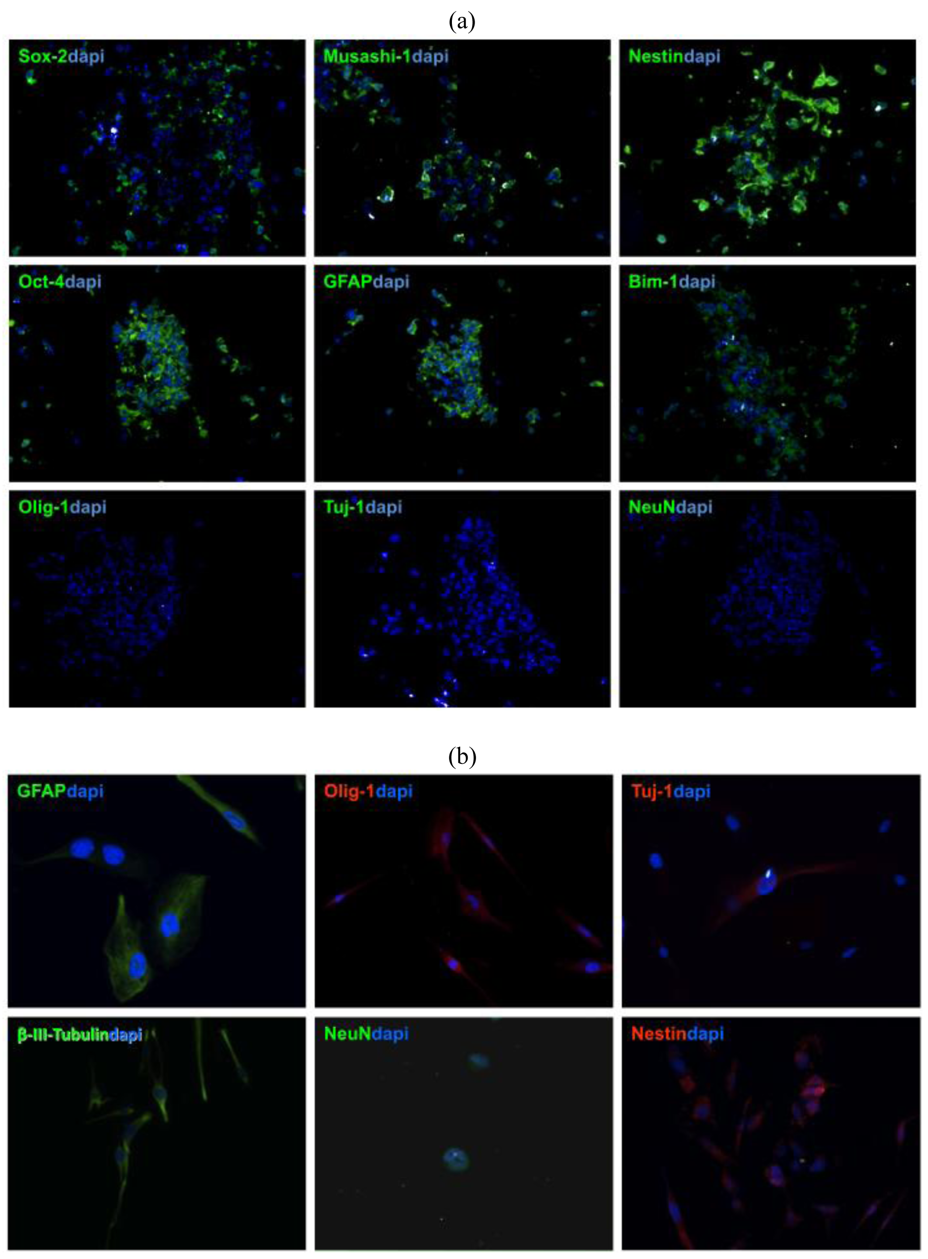 Cancers 03 02655f3 1024