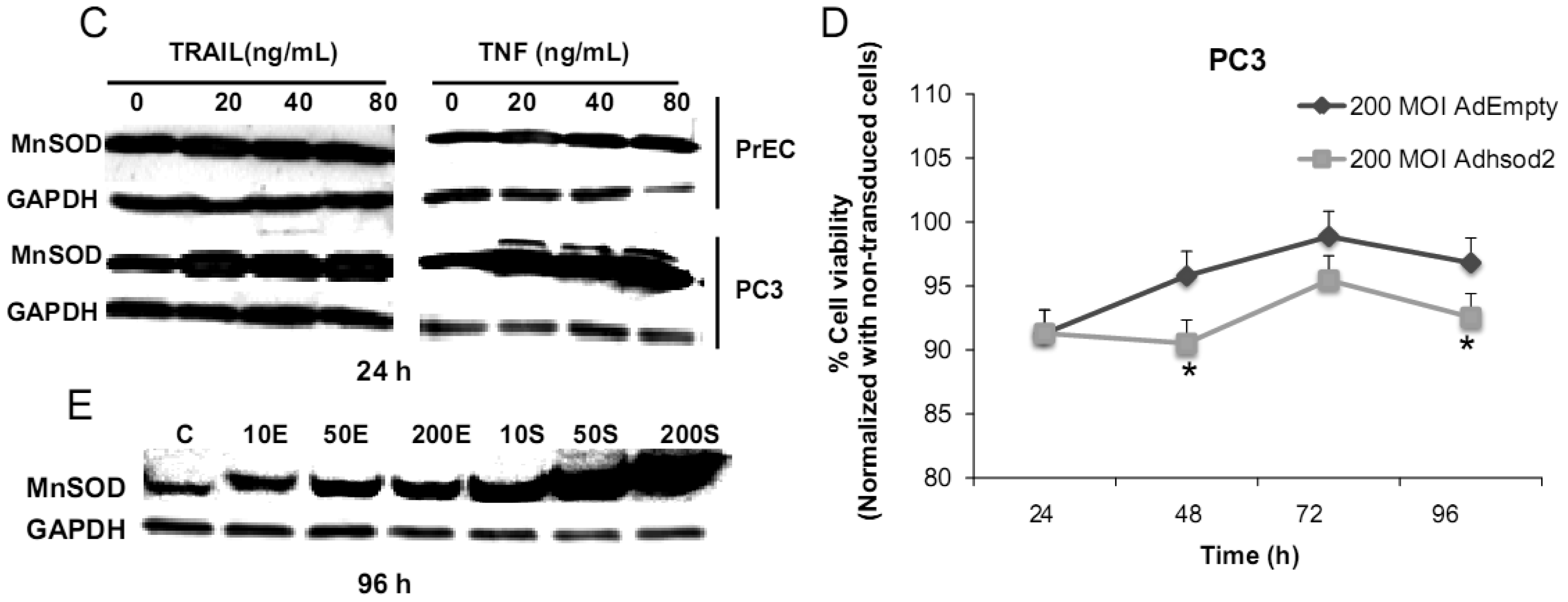 Cancers 03 03557f2b 1024