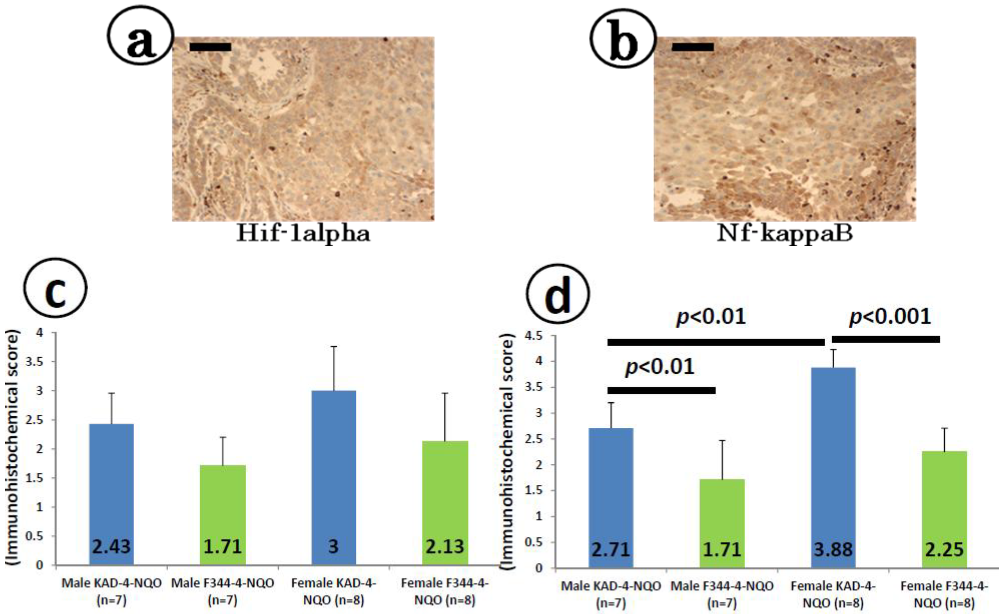 Cancers 06 01522 g005