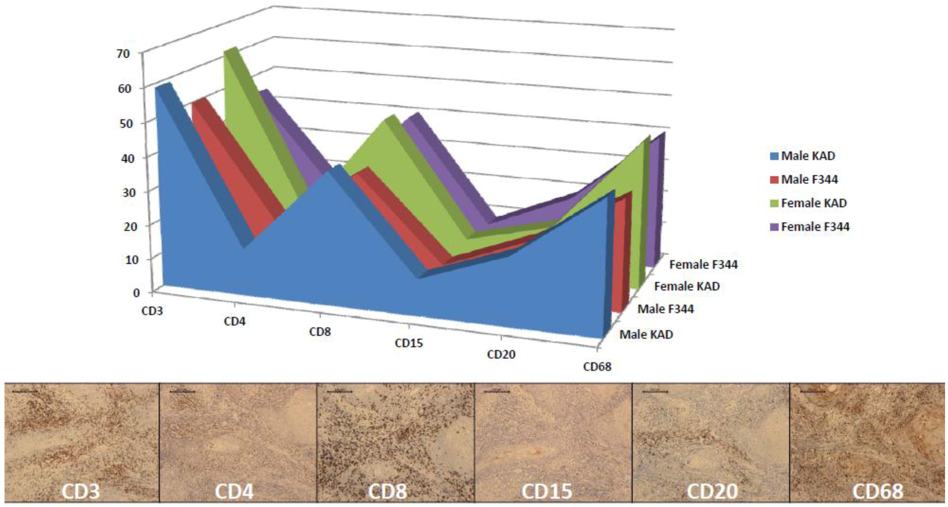 Cancers 06 01522 g008