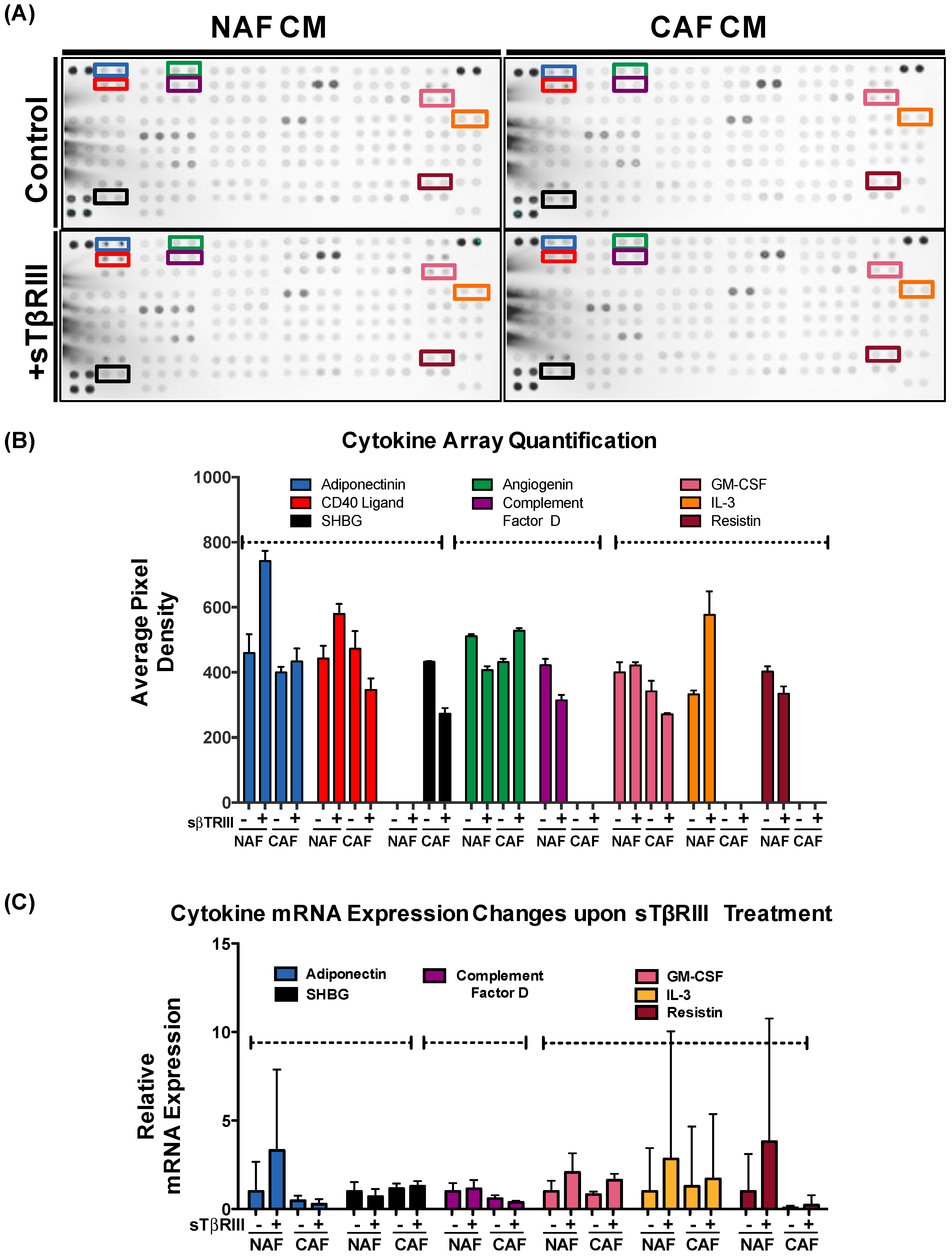 Cancers 08 00100 g007