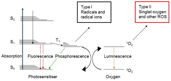 Oncologic Photodynamic Therapy: Basic Principles, Current Clinical Status and Future Directions Oncologic Photodynamic Therapy: Basic Principles, Current Clinical Status and Future Directions