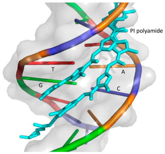 Crosstalk of the Androgen Receptor with Transcriptional Collaborators: Potential Therapeutic Targets for Castration-Resistant Prostate Cancer Crosstalk of the Androgen Receptor with Transcriptional Collaborators: Potential Therapeutic Targets for Castration-Resistant Prostate Cancer
