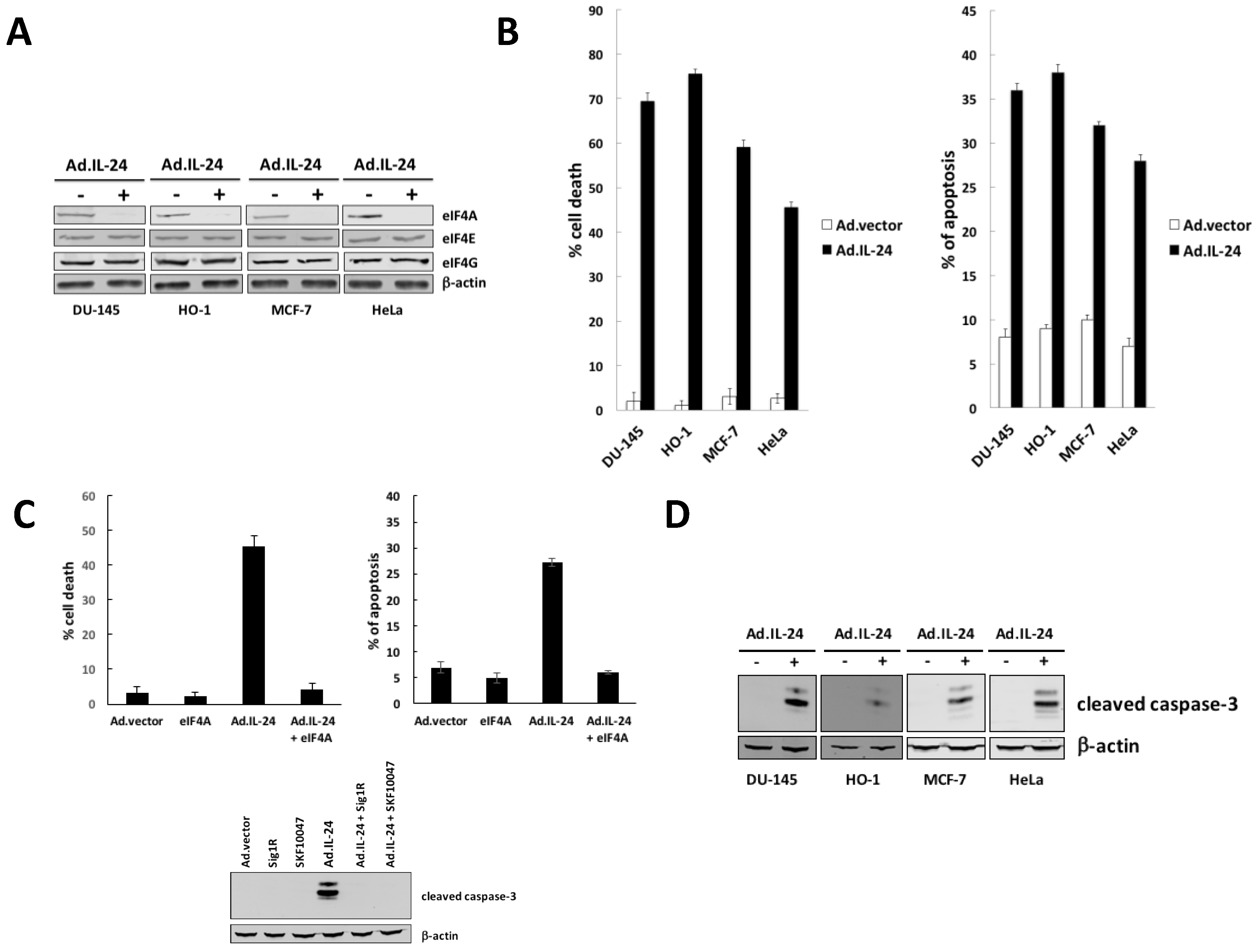 Cancers 10 00153 g001