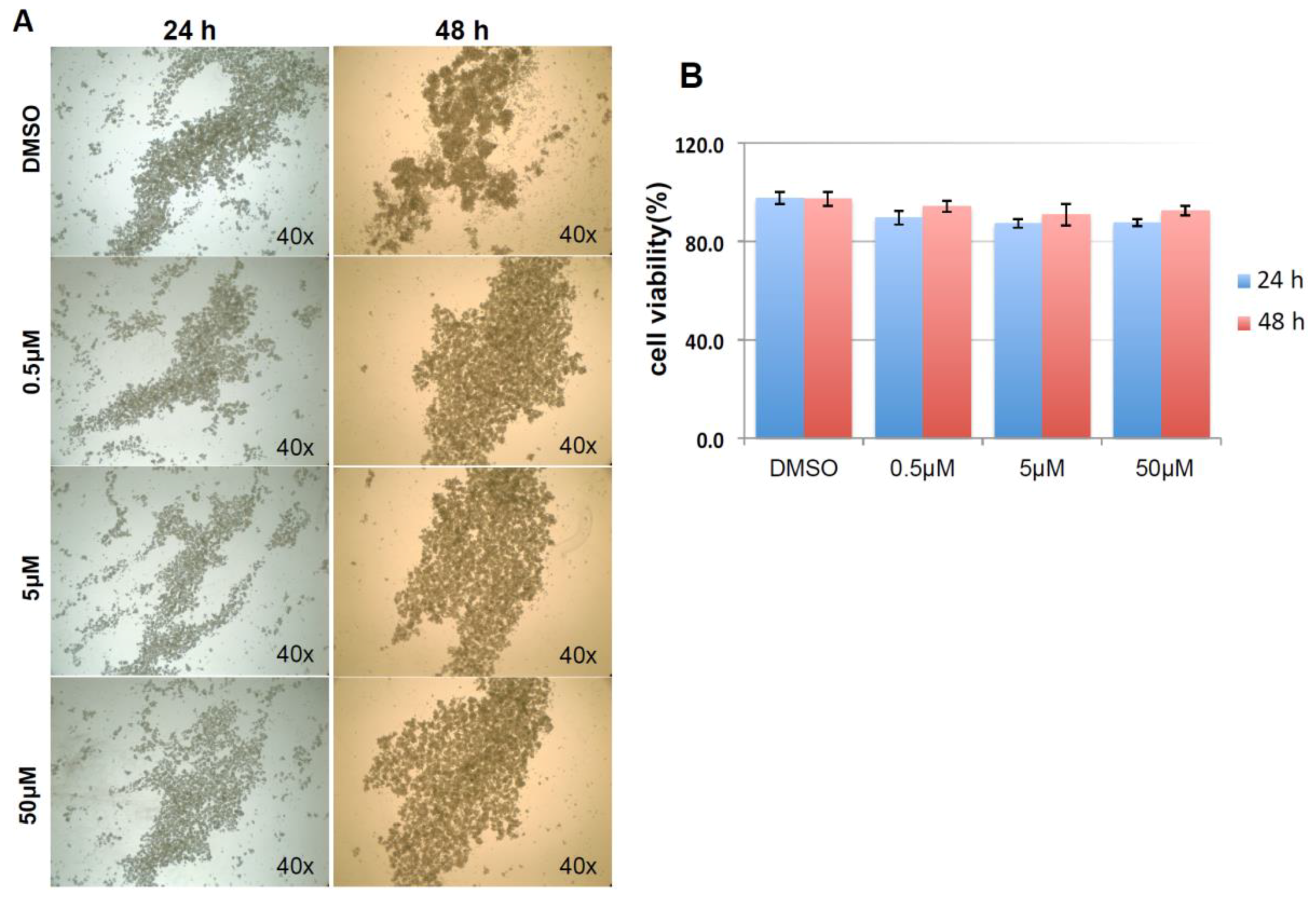 Cancers 10 00180 g010