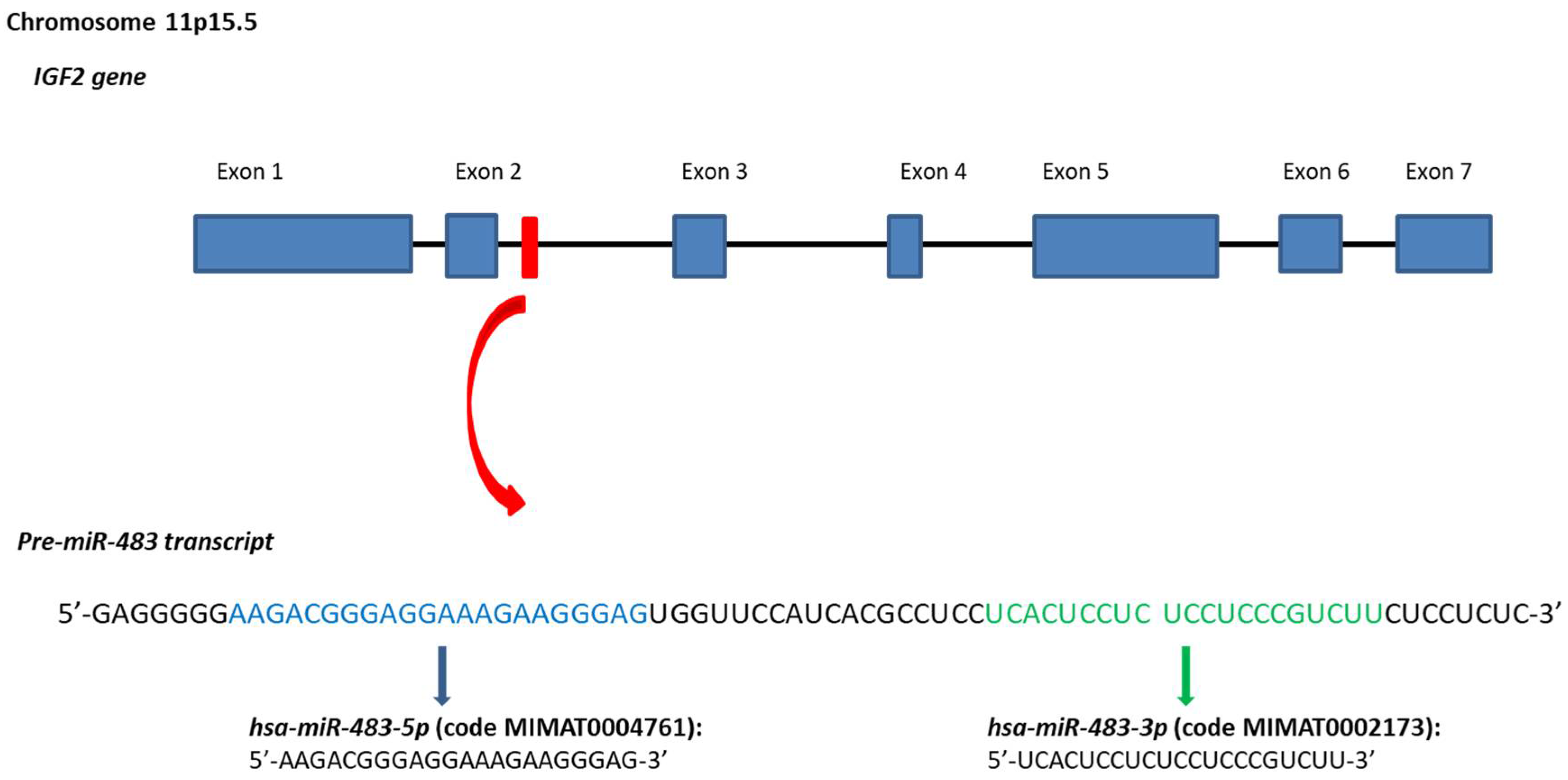 Cancers 10 00181 g001