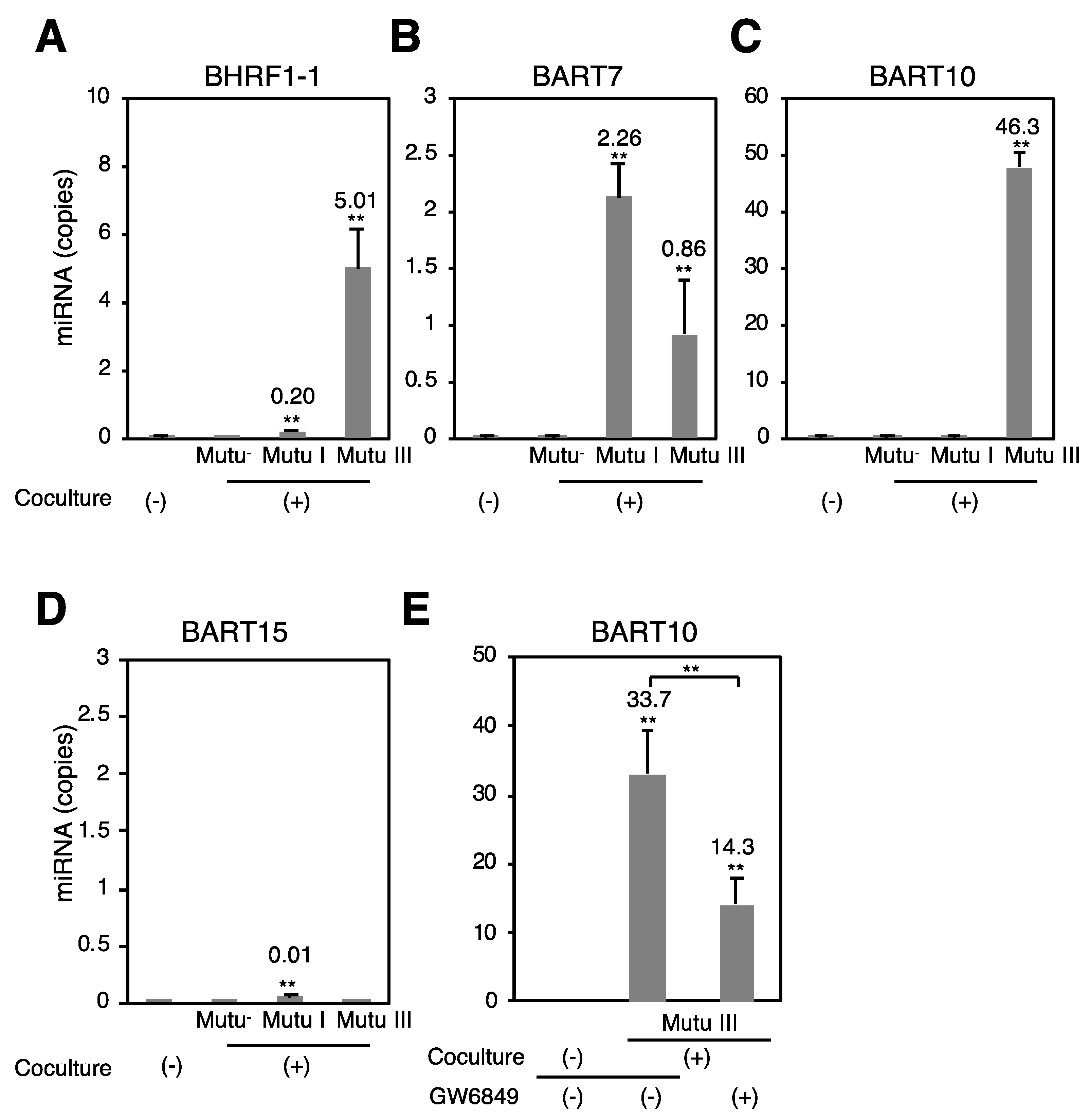 Cancers 10 00237 g005