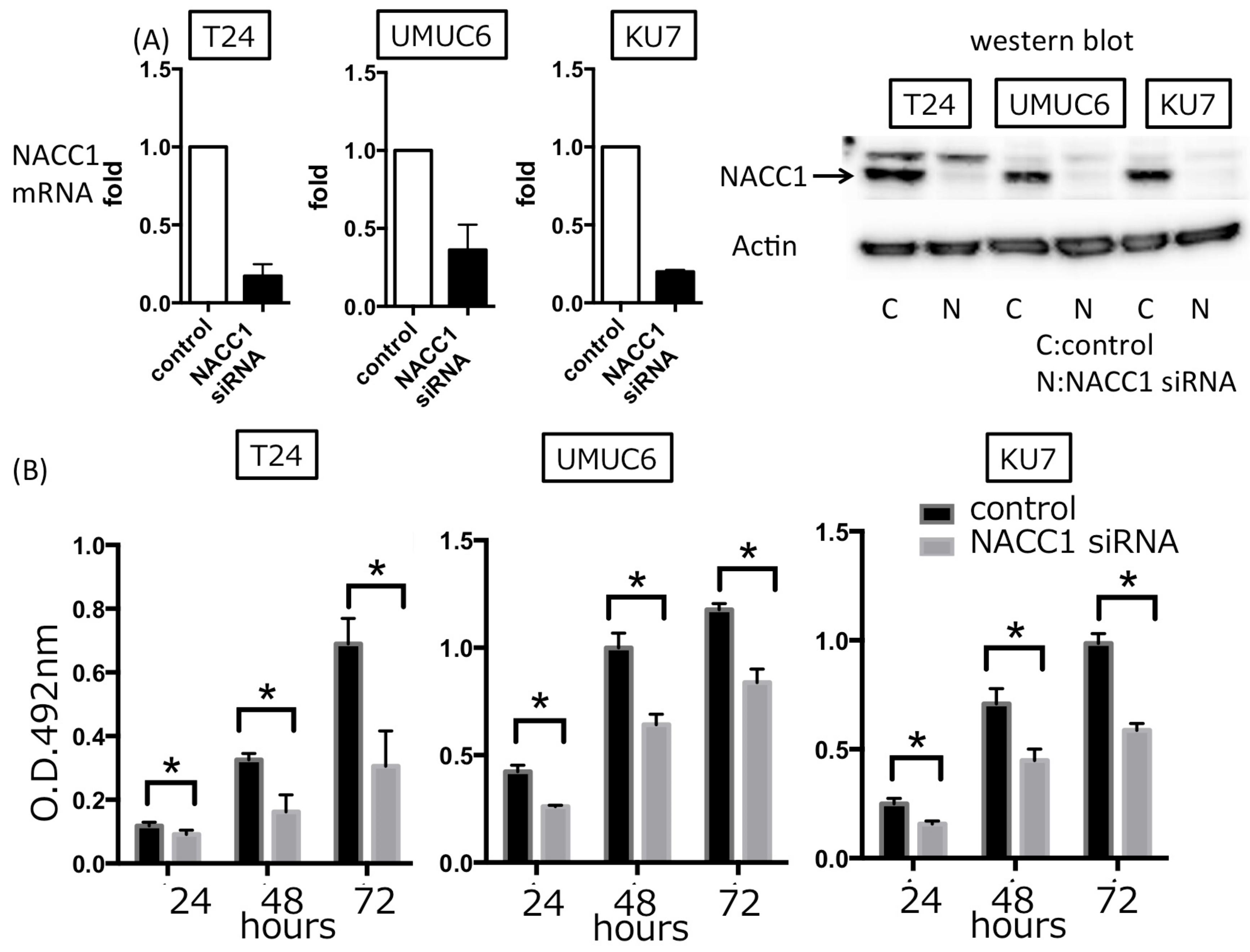 Cancers 10 00347 g002