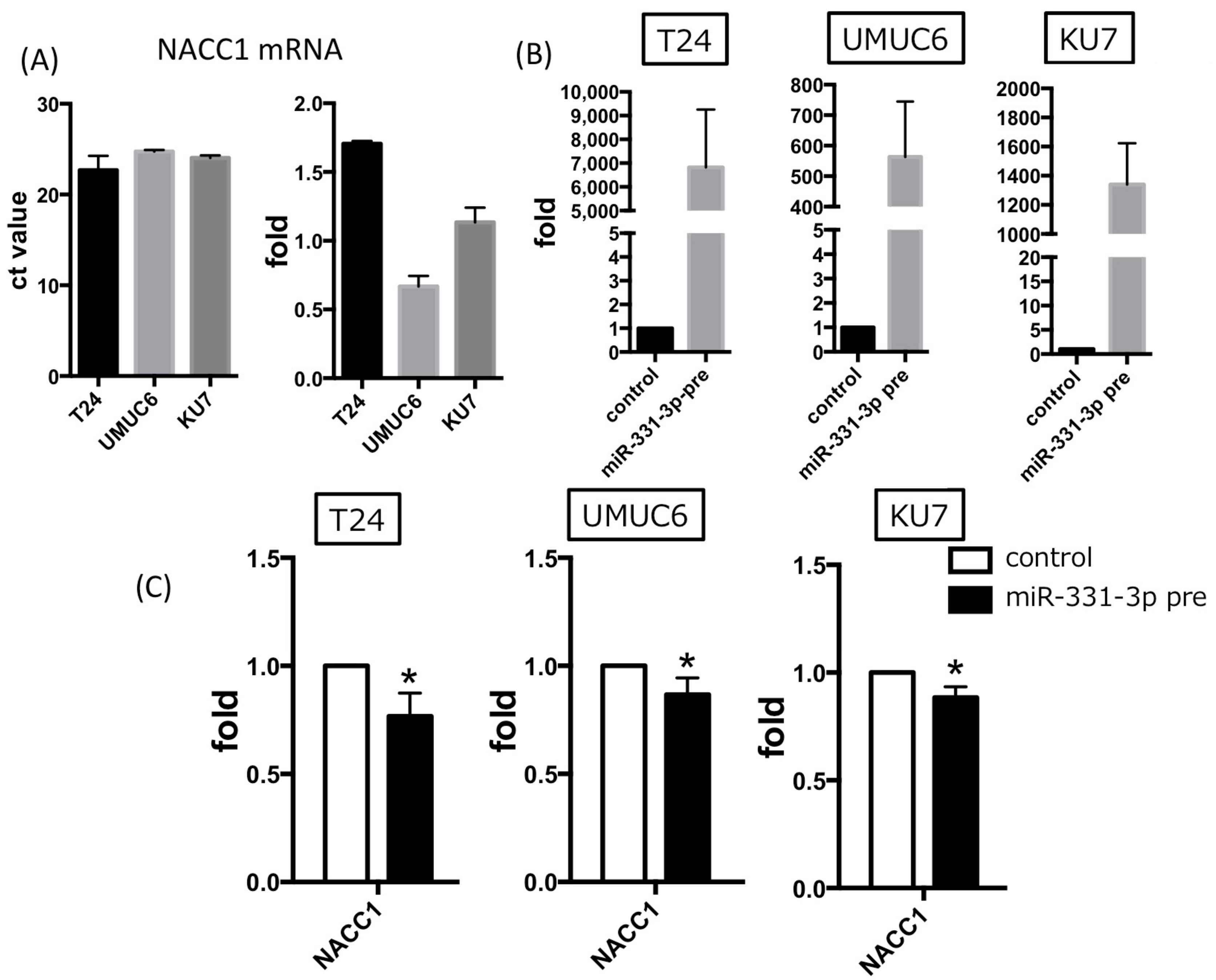 Cancers 10 00347 g004