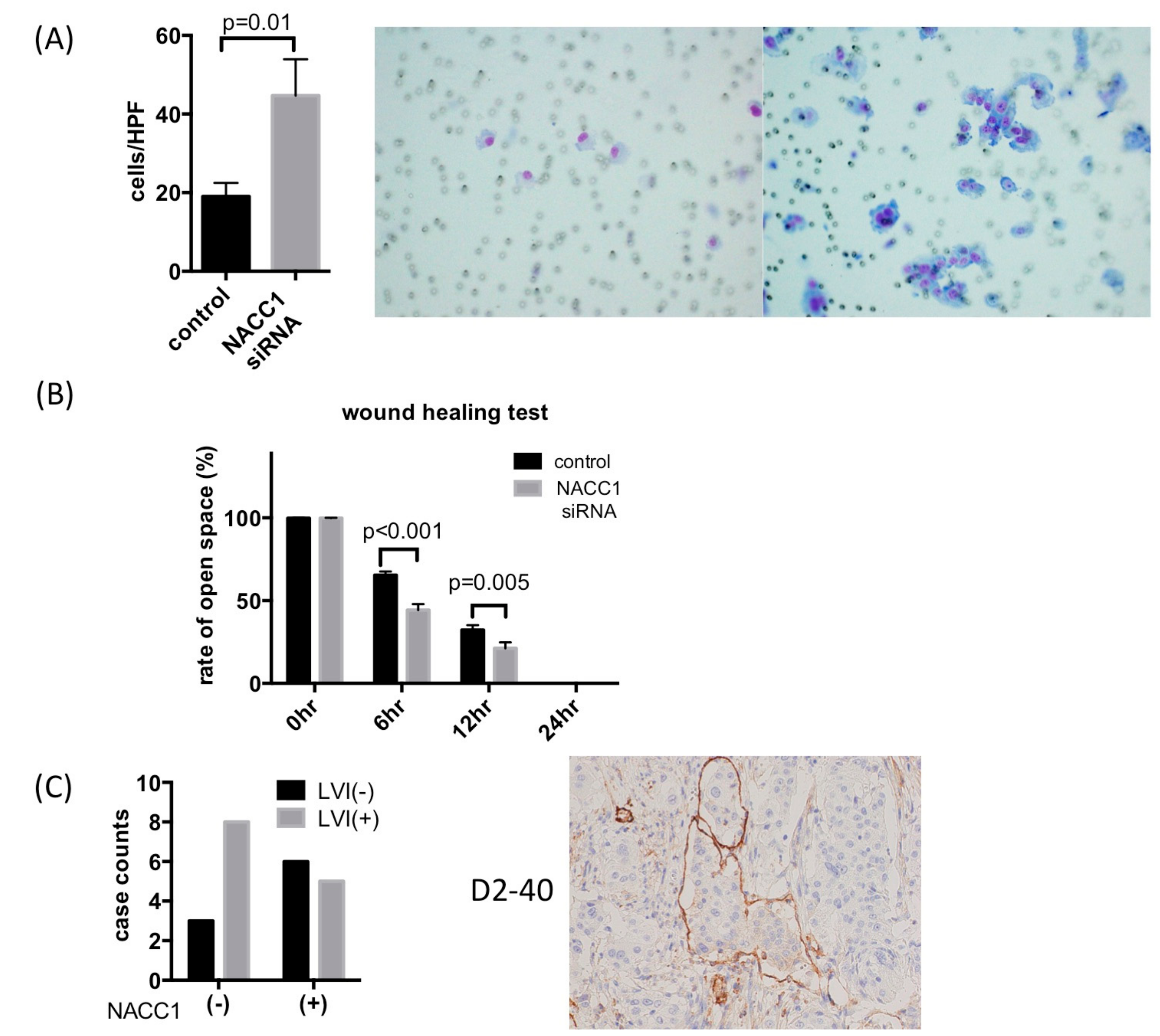 Cancers 10 00347 g006