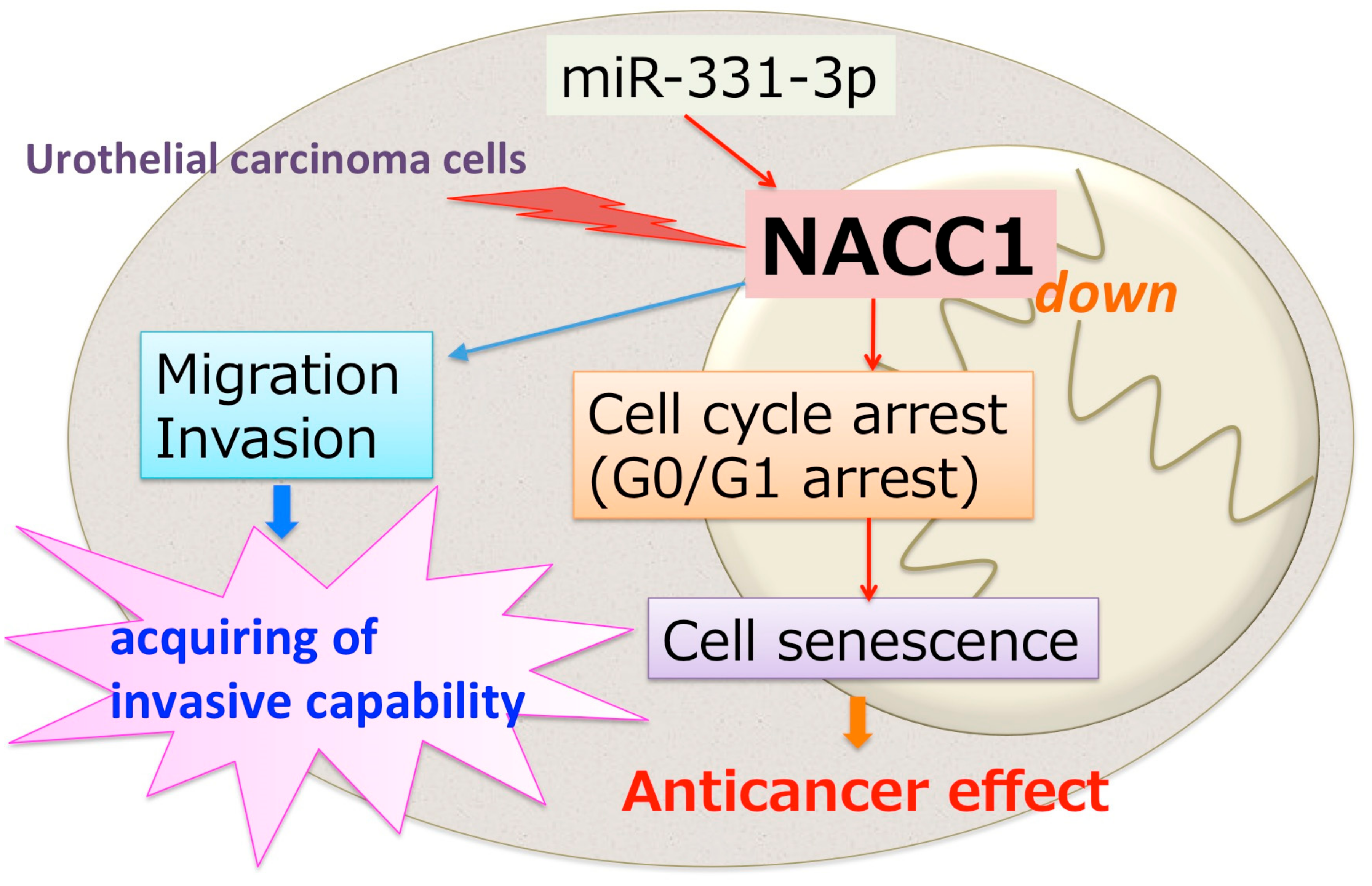 Cancers 10 00347 g007