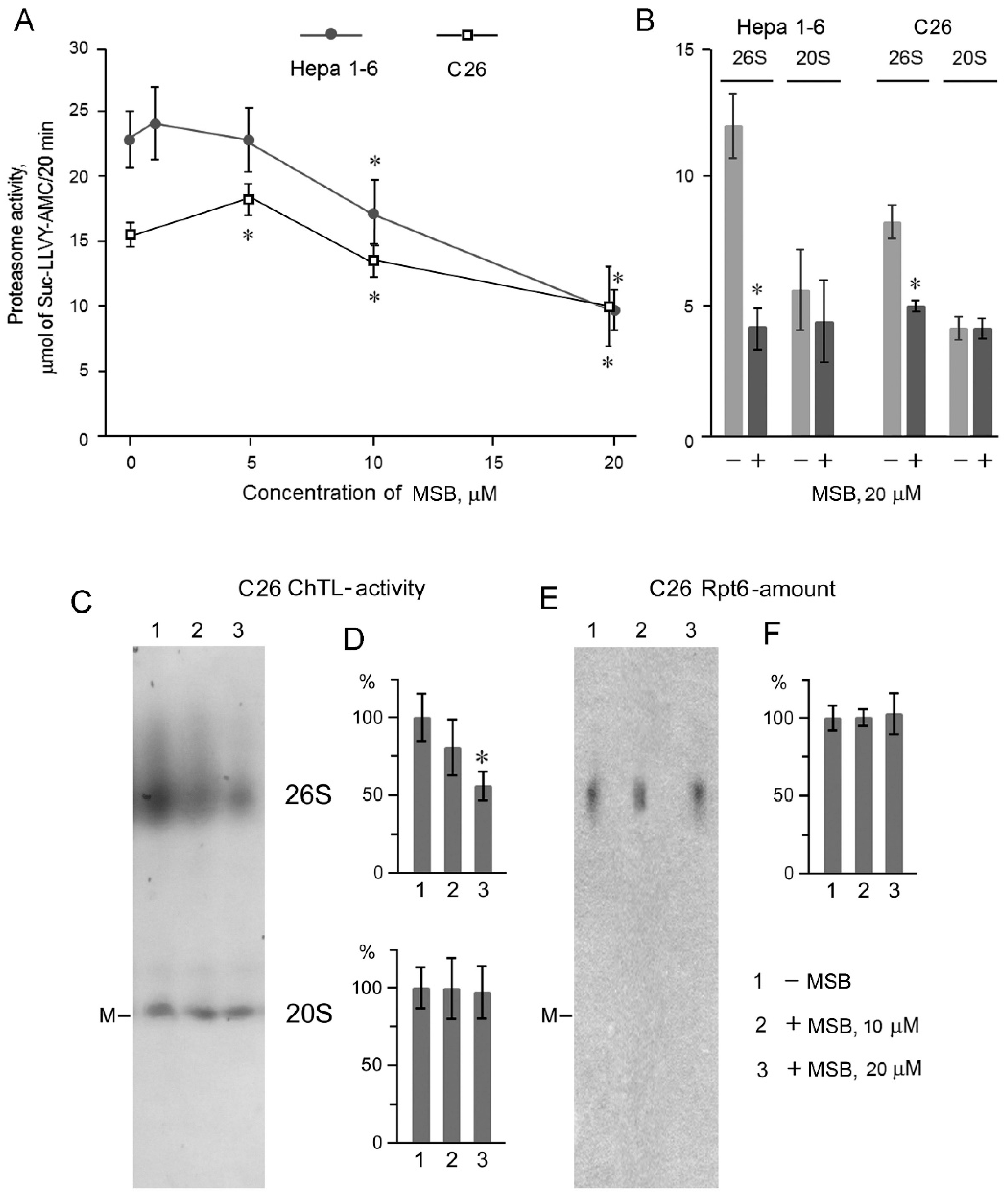Cancers 10 00351 g002