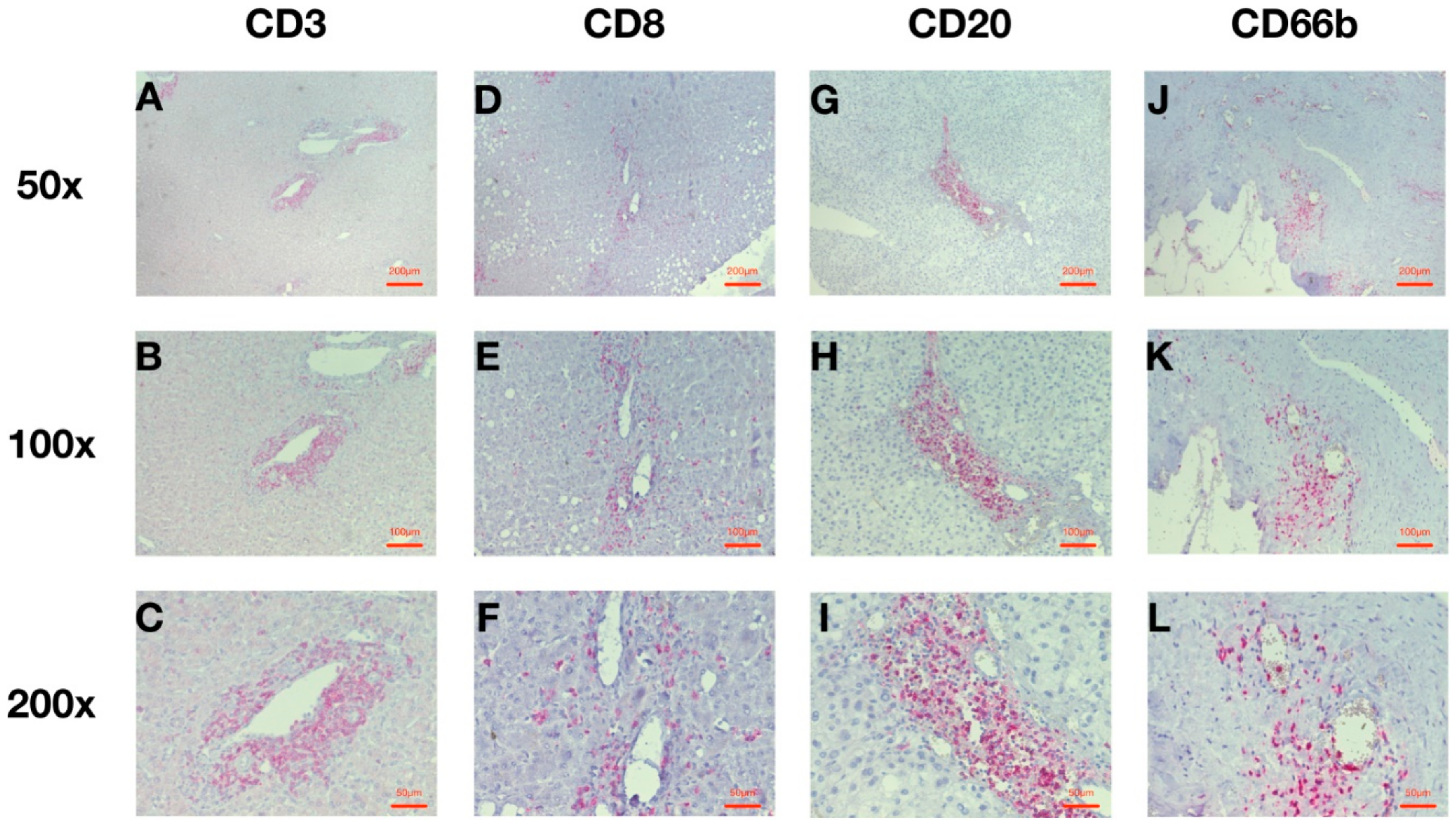 Cancers 10 00389 g002 Cancers 10 00389 g002