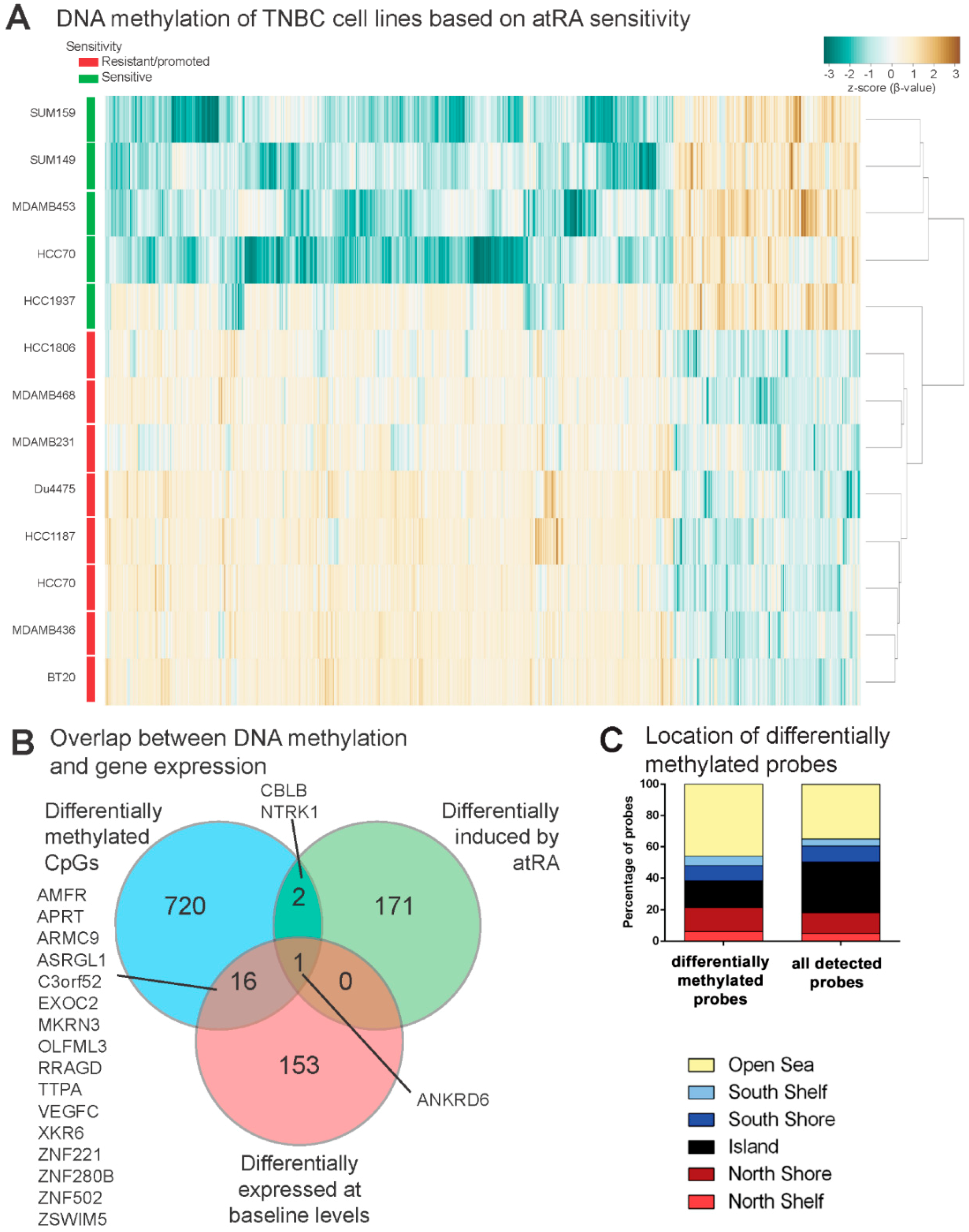 Cancers 10 00397 g004