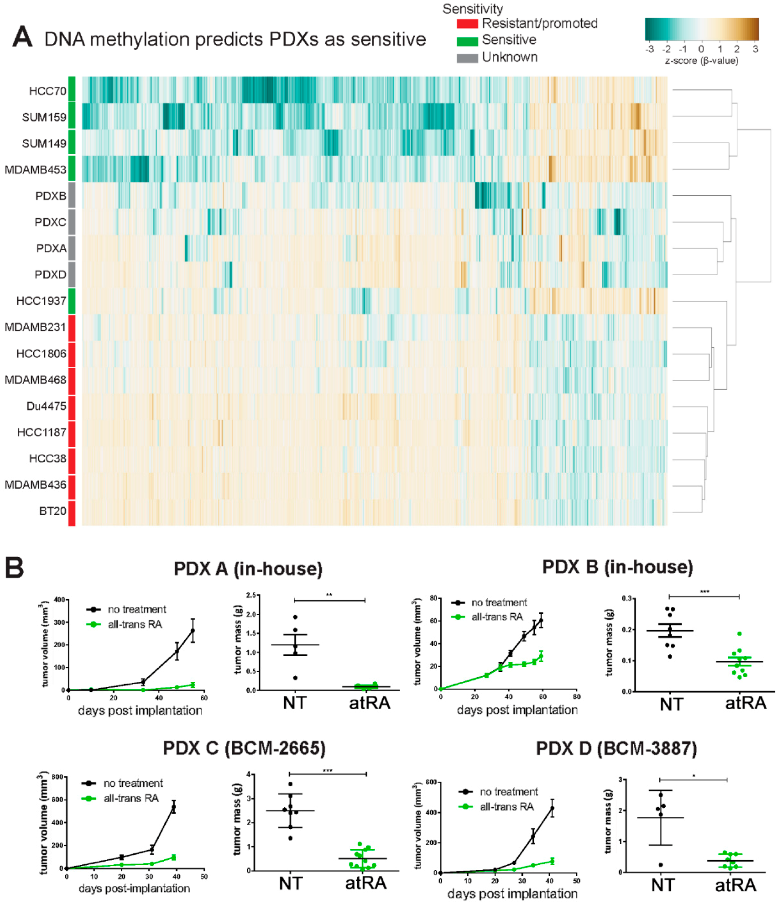 Cancers 10 00397 g005