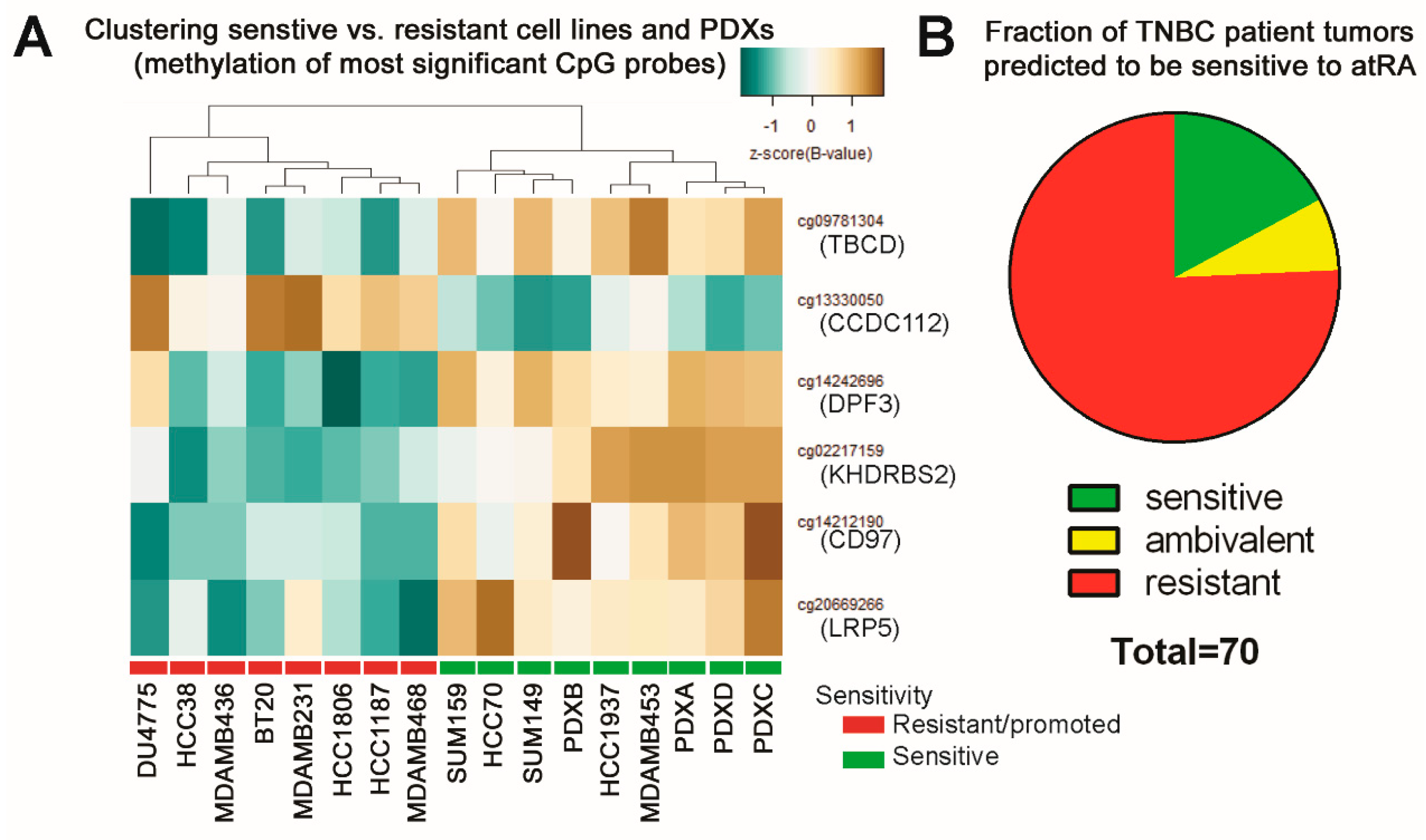 Cancers 10 00397 g006