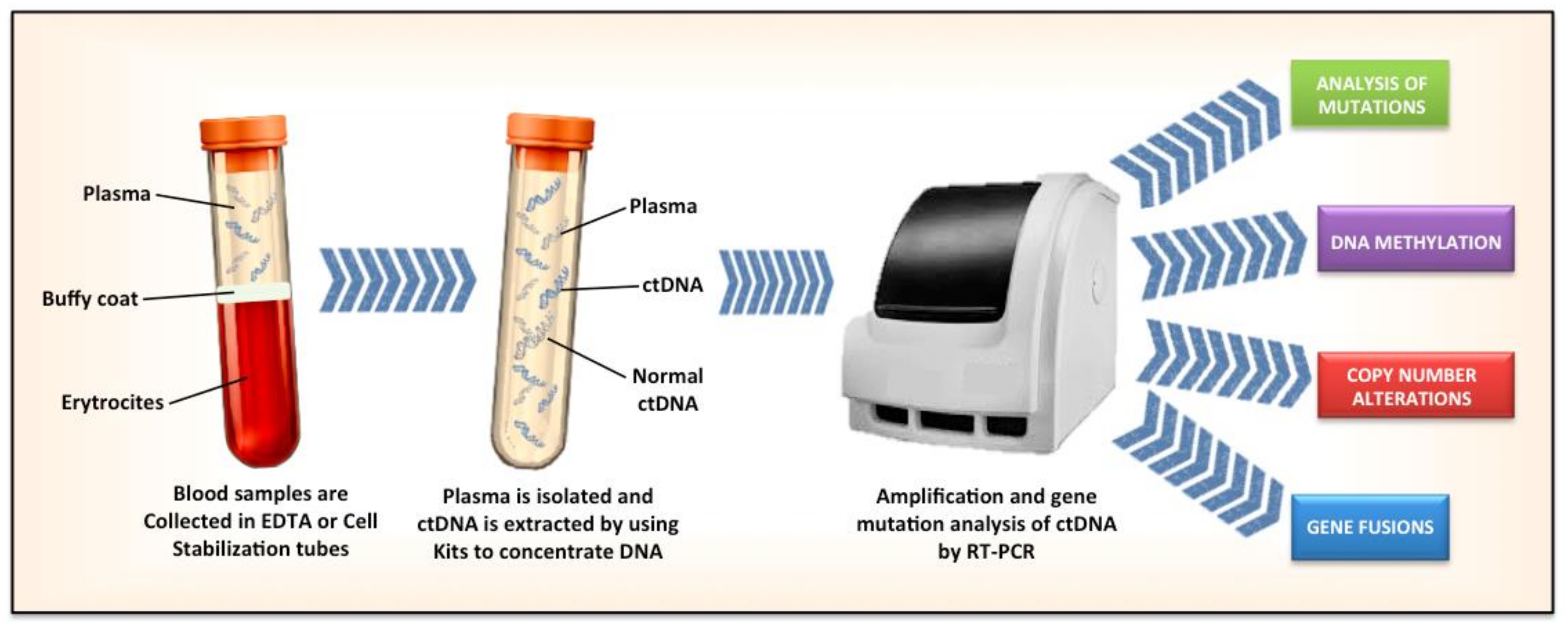 Cancers 11 00196 g001