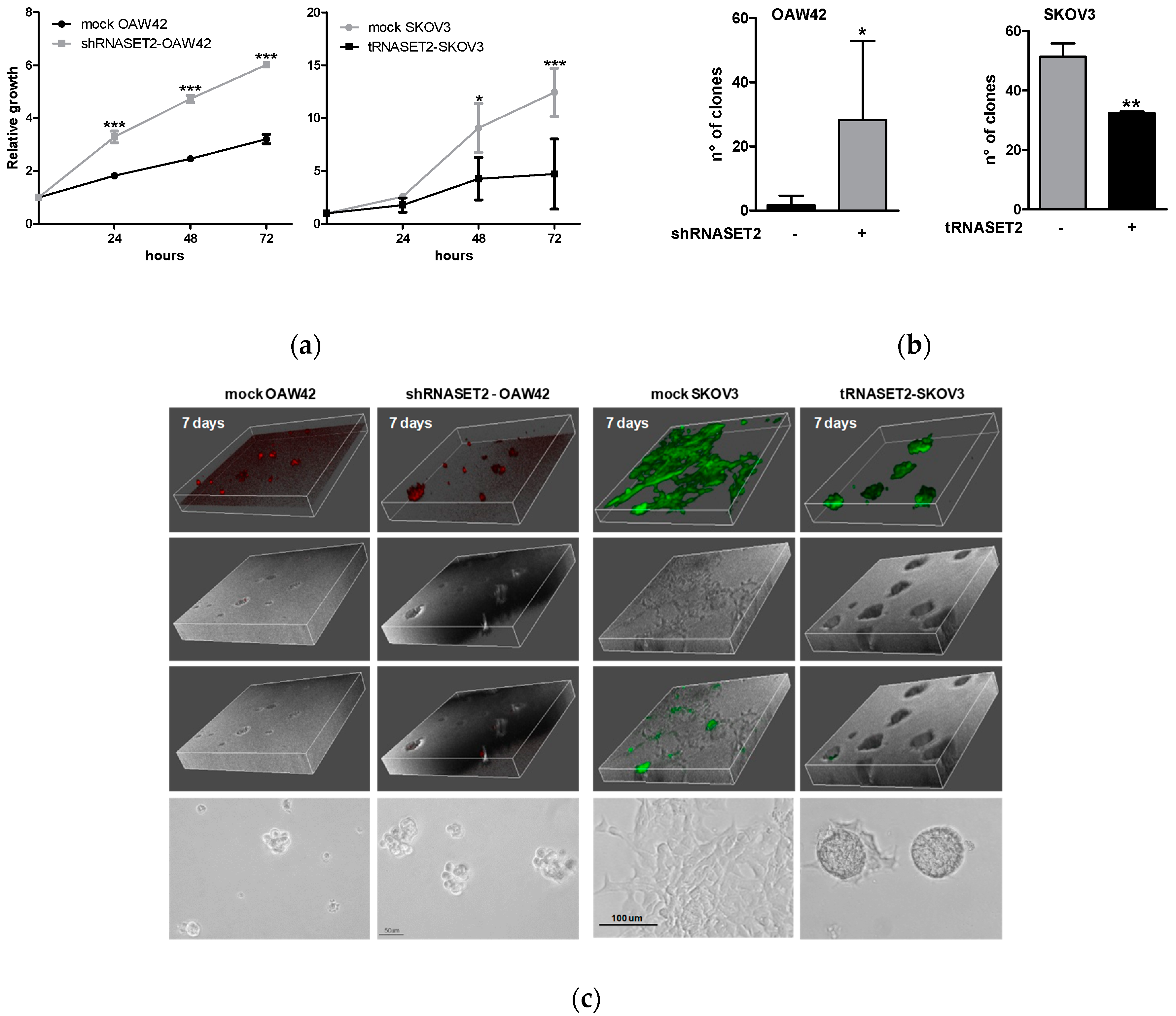 Cancers 11 00255 g003
