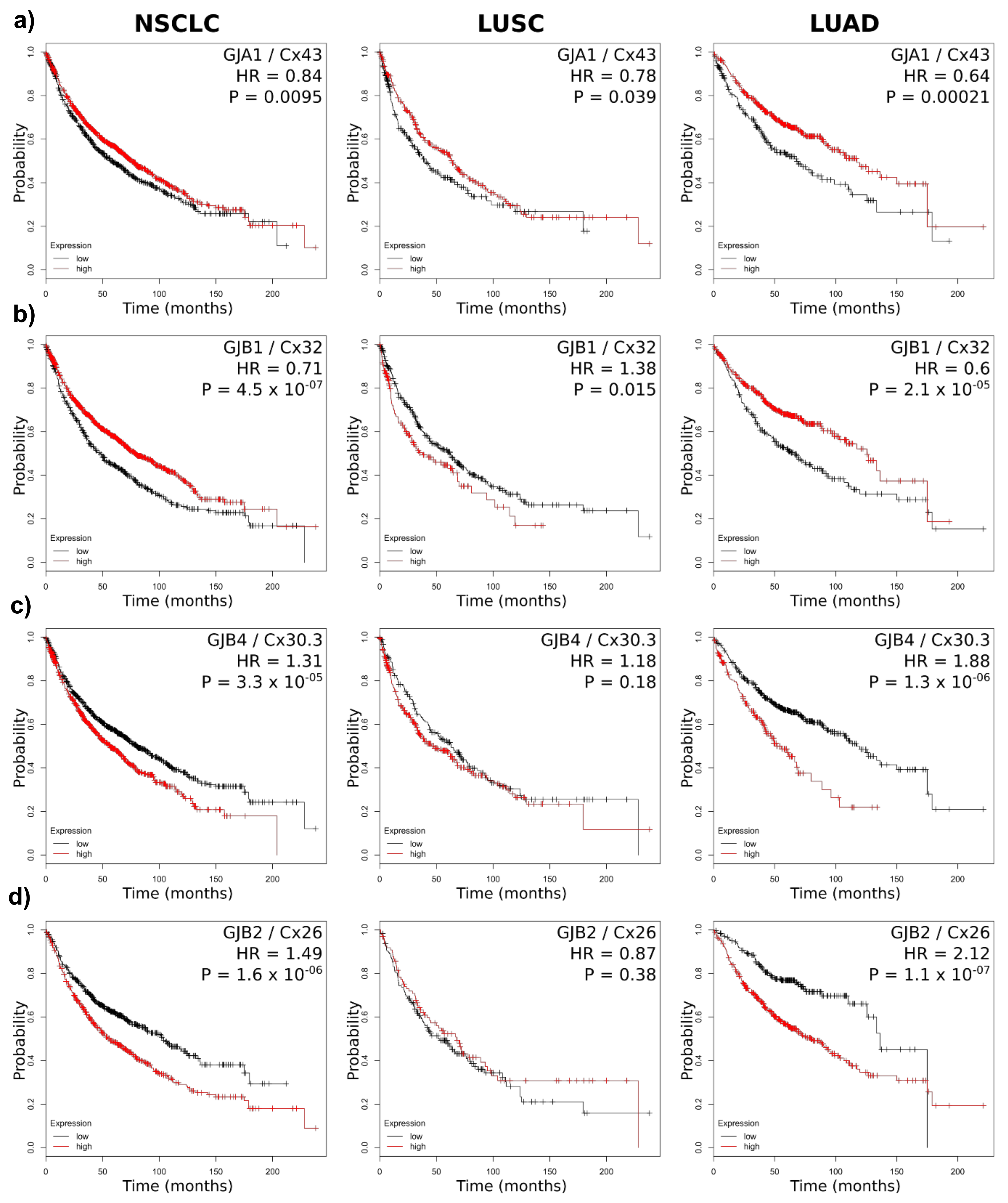 Cancers 11 00320 g004