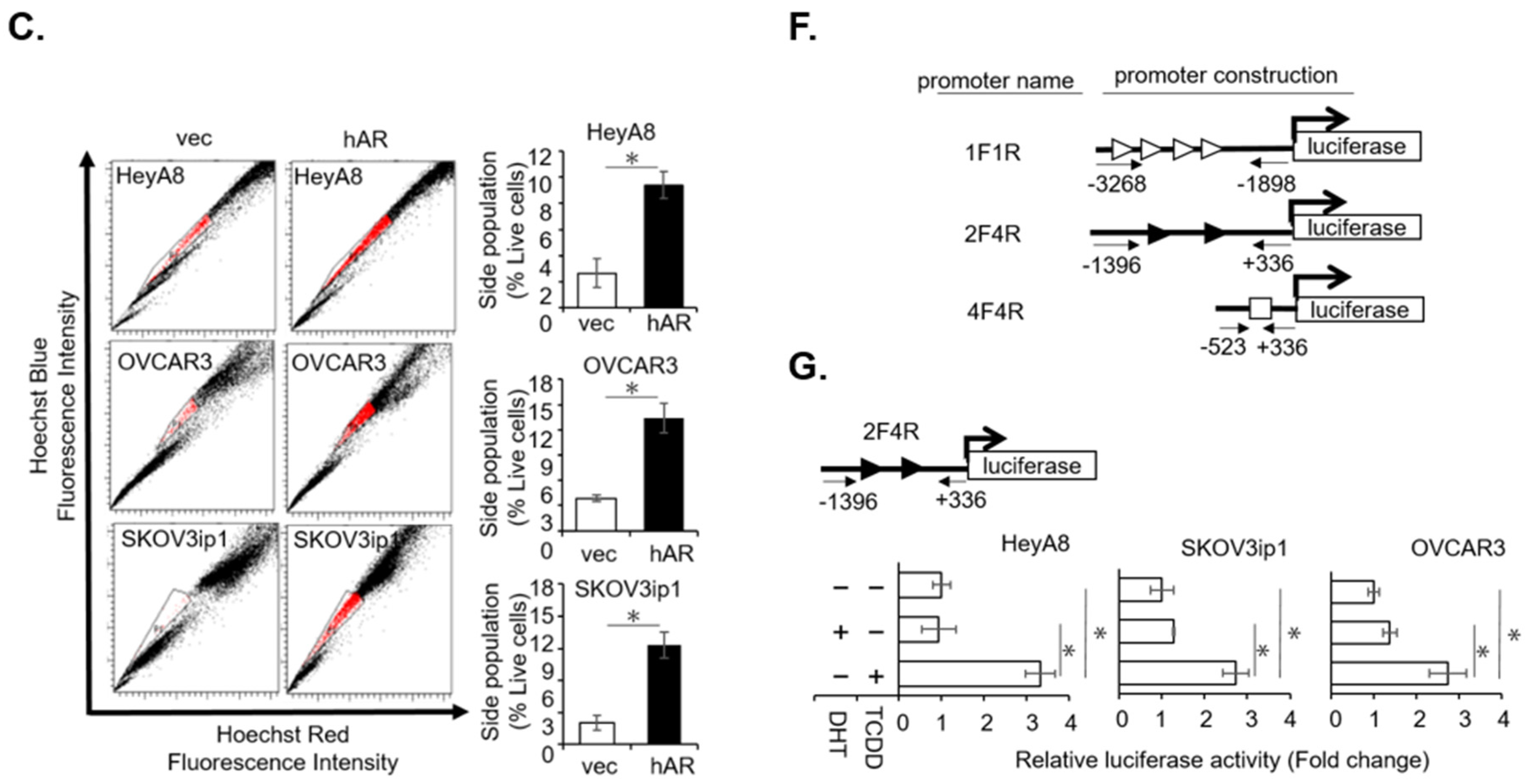 Cancers 11 00463 g001b