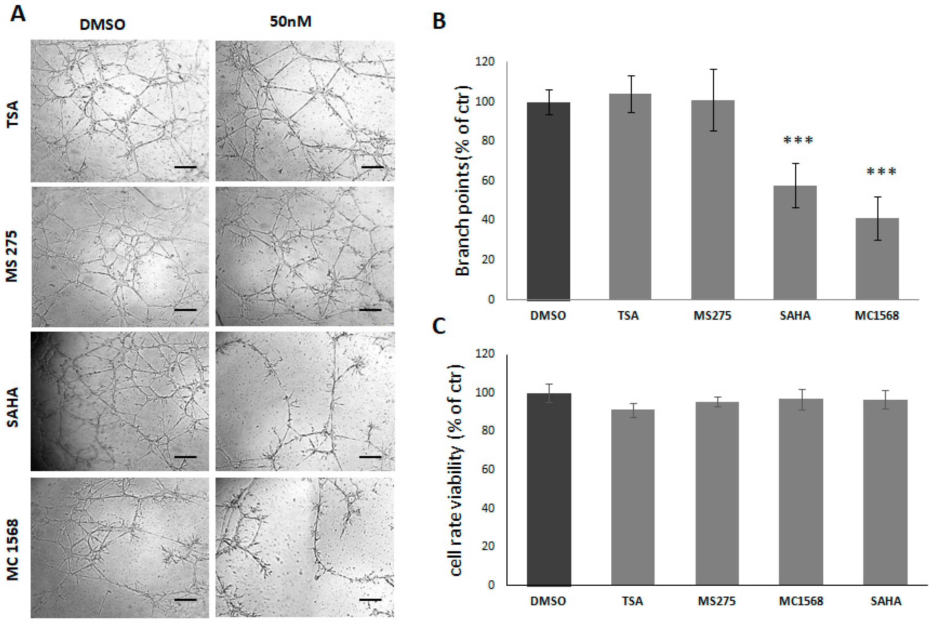 Cancers 11 00747 g002