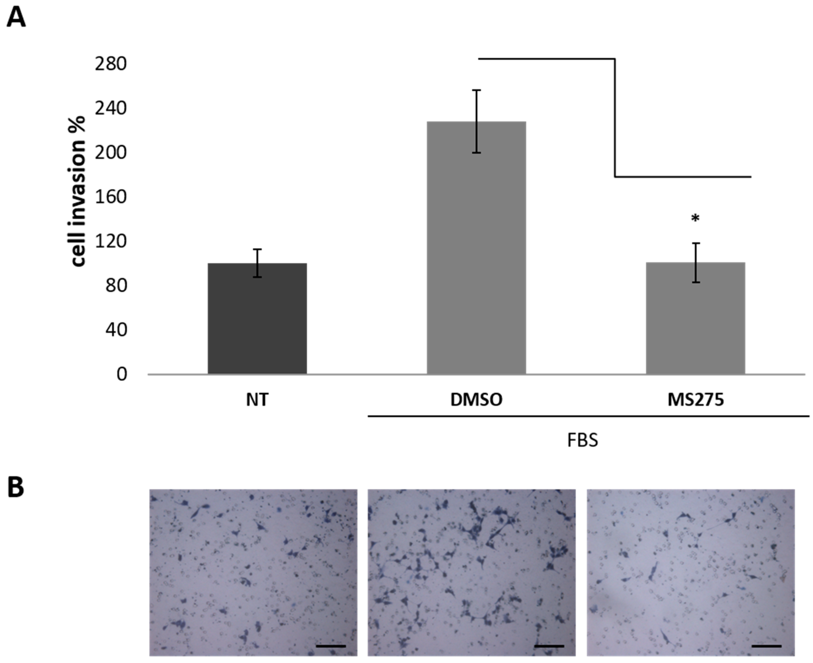 Cancers 11 00747 g005