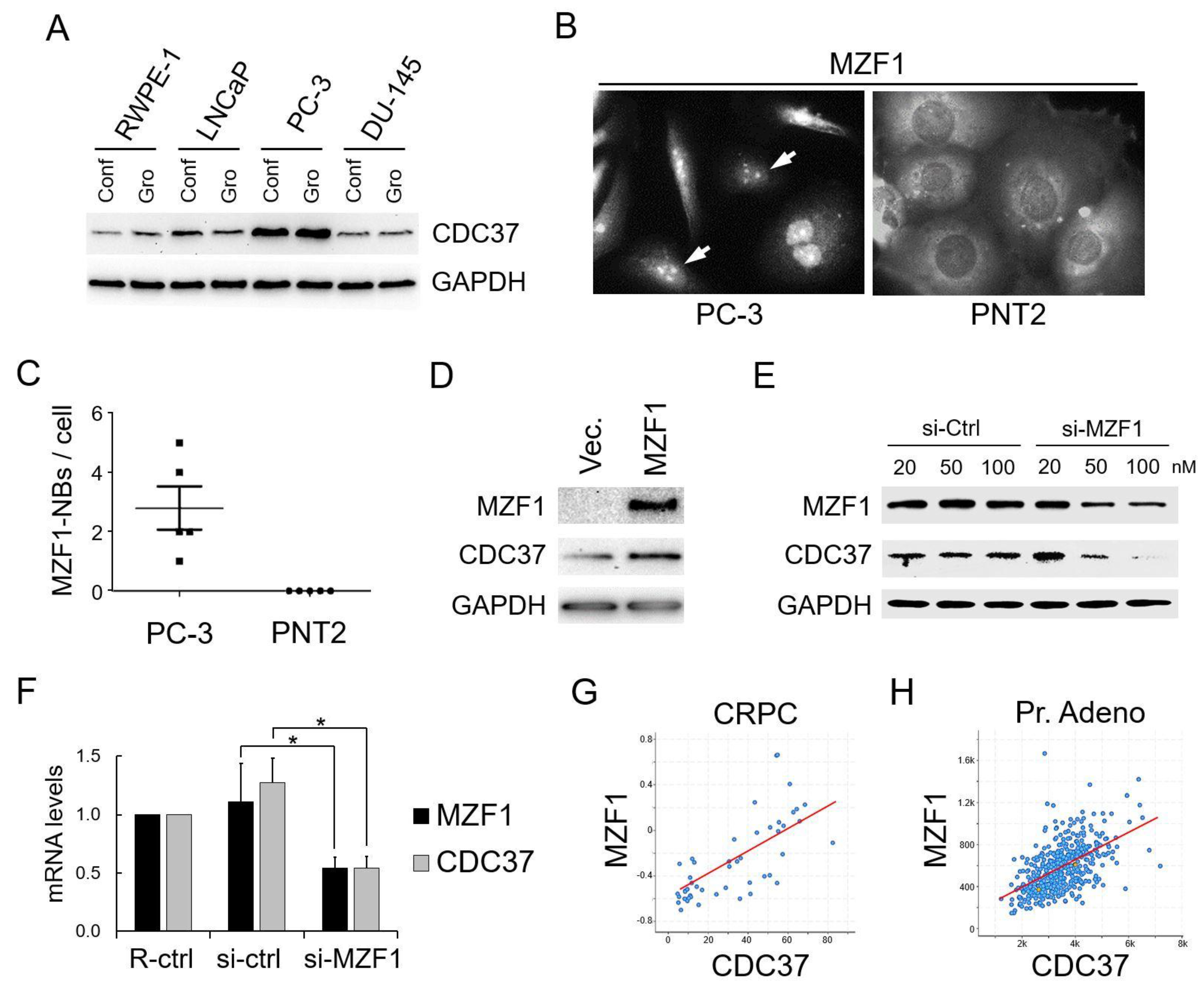 Cancers 11 00792 g001 Cancers 11 00792 g001